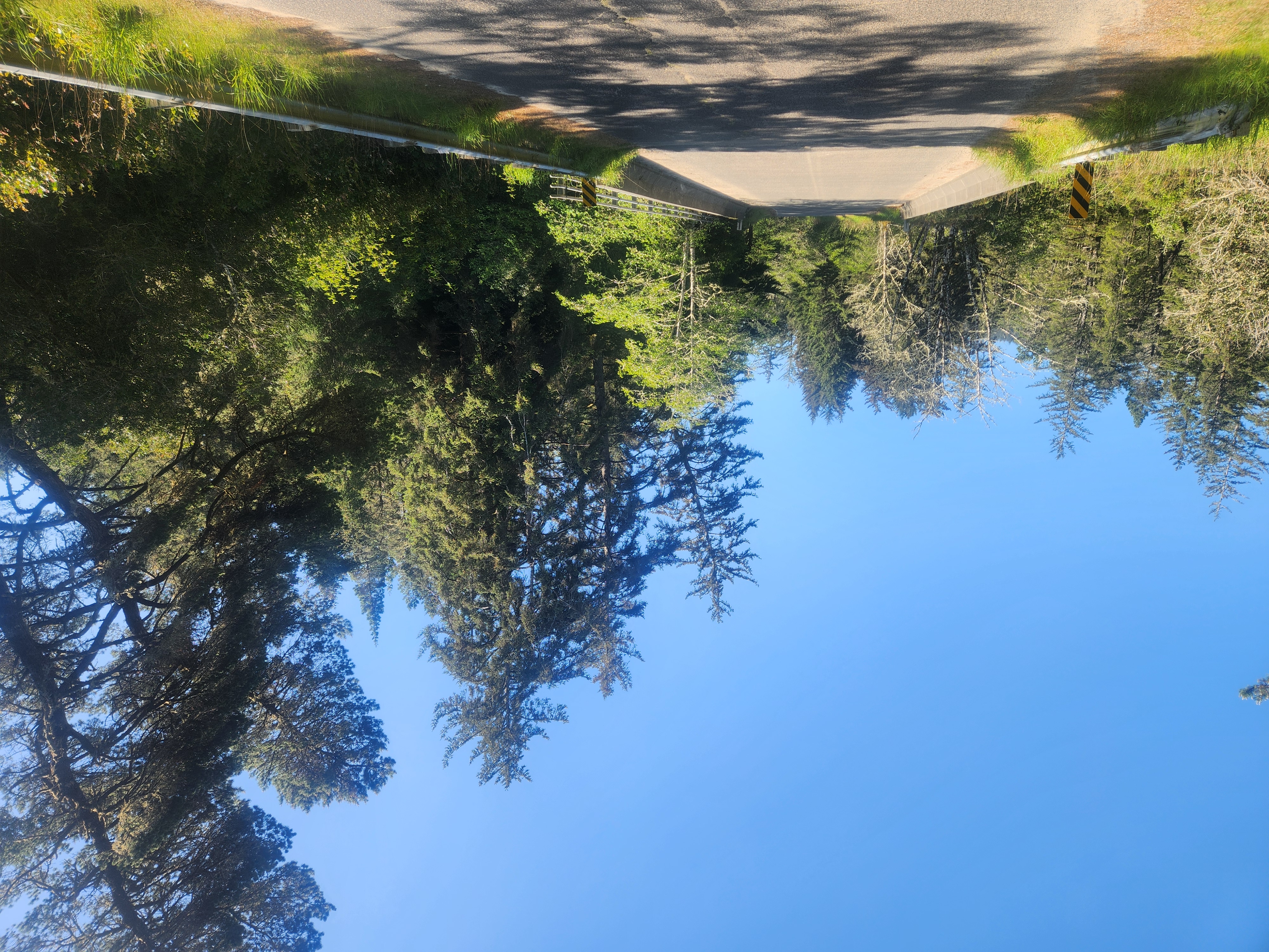 Summer at Siltcoos: Day 7