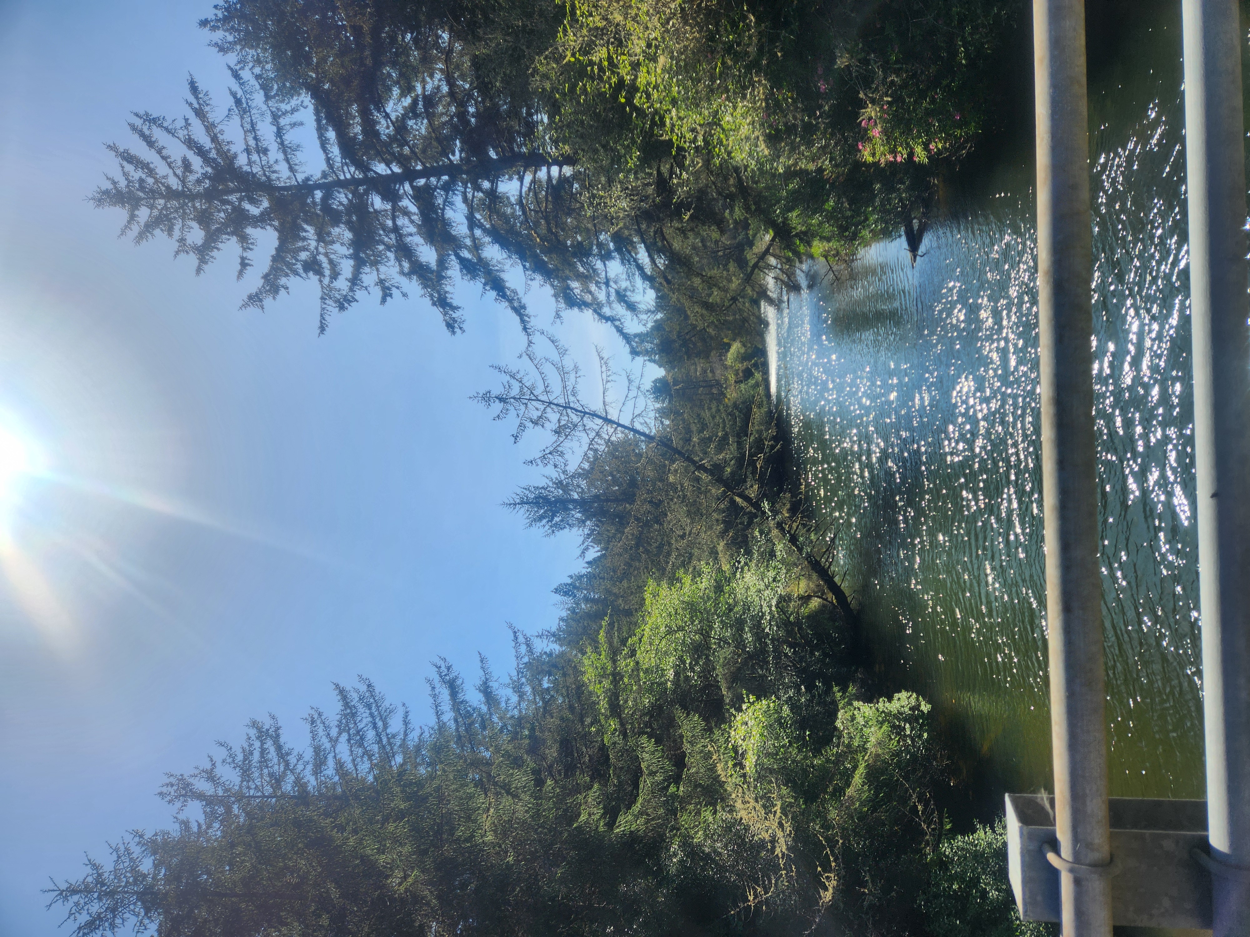 Summer at Siltcoos: Day 7
