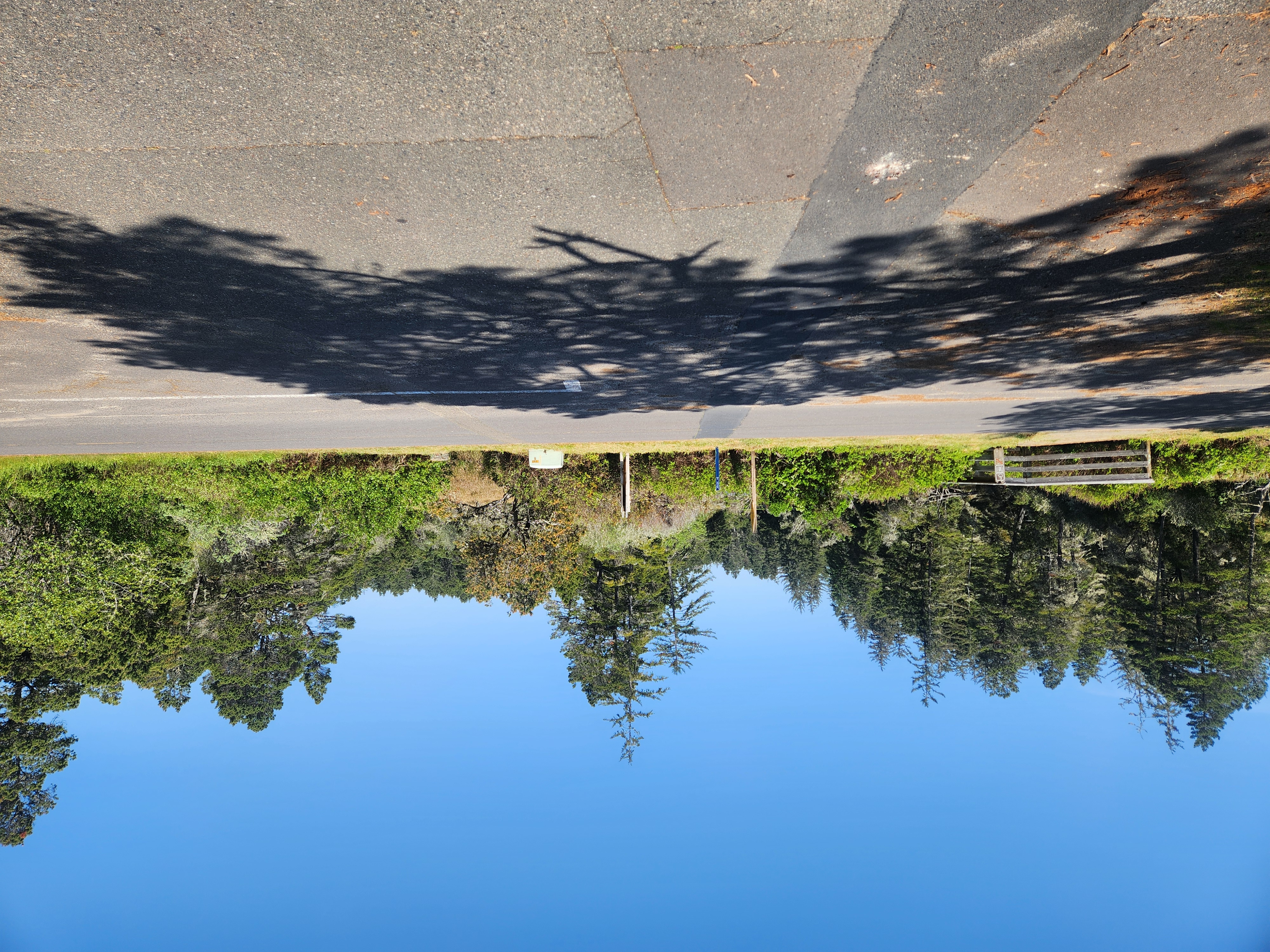 Summer at Siltcoos: Day 8