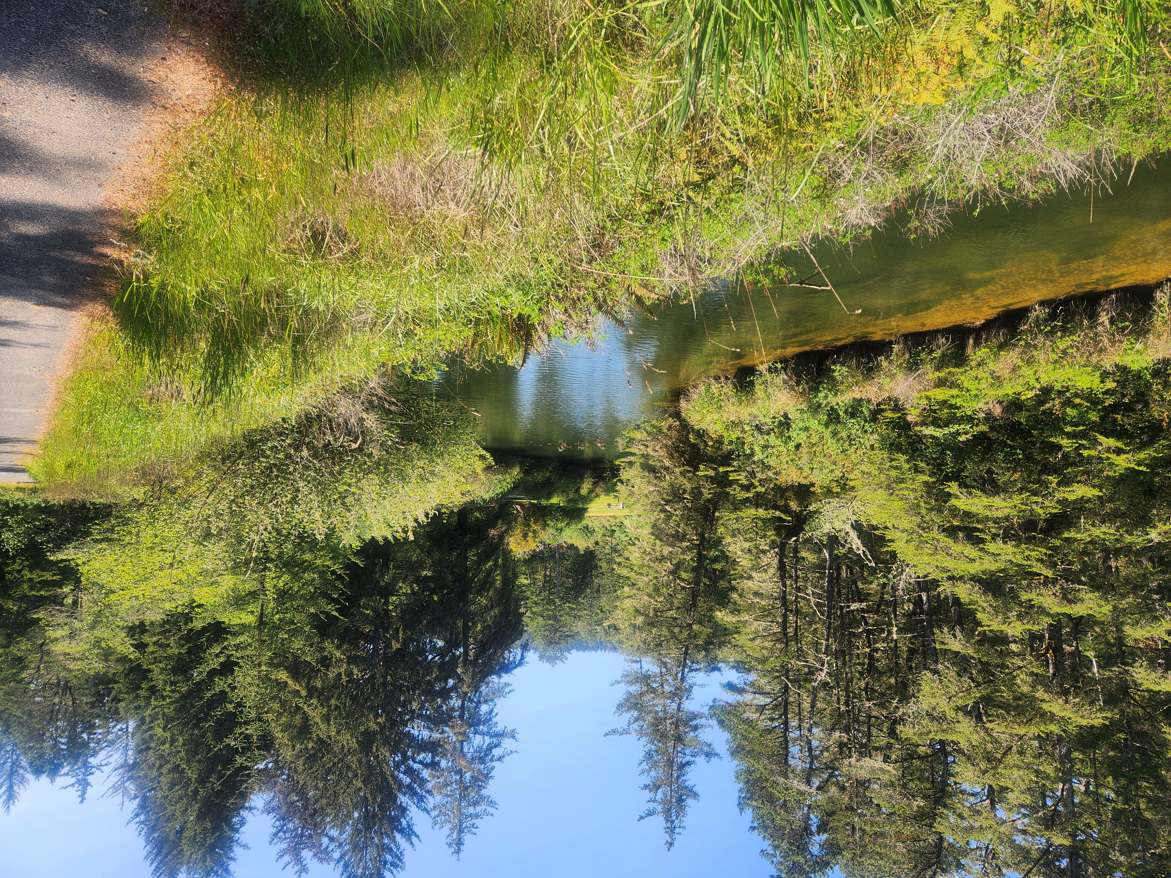 Summer at Siltcoos: Day 8