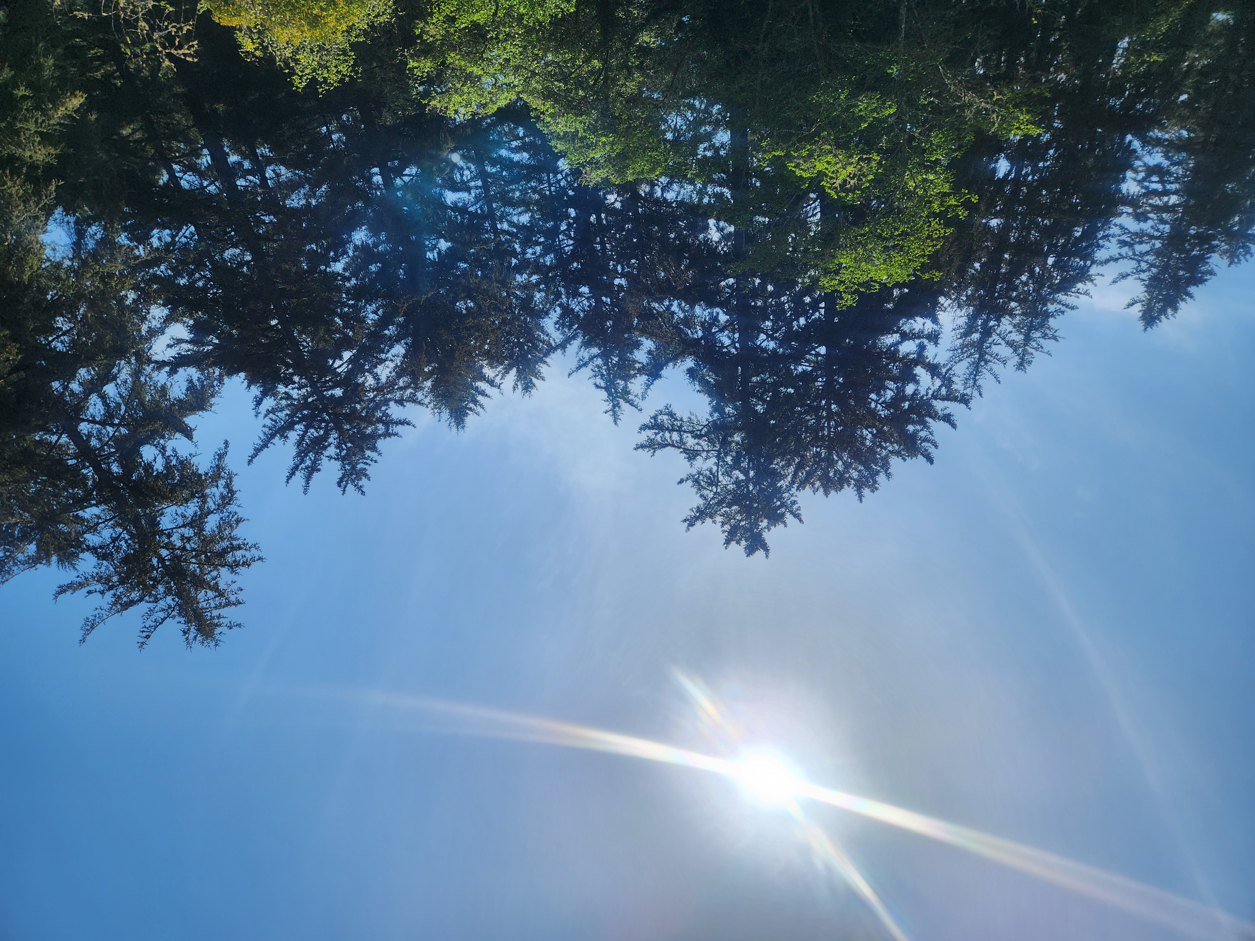 Summer at Siltcoos: Day 8