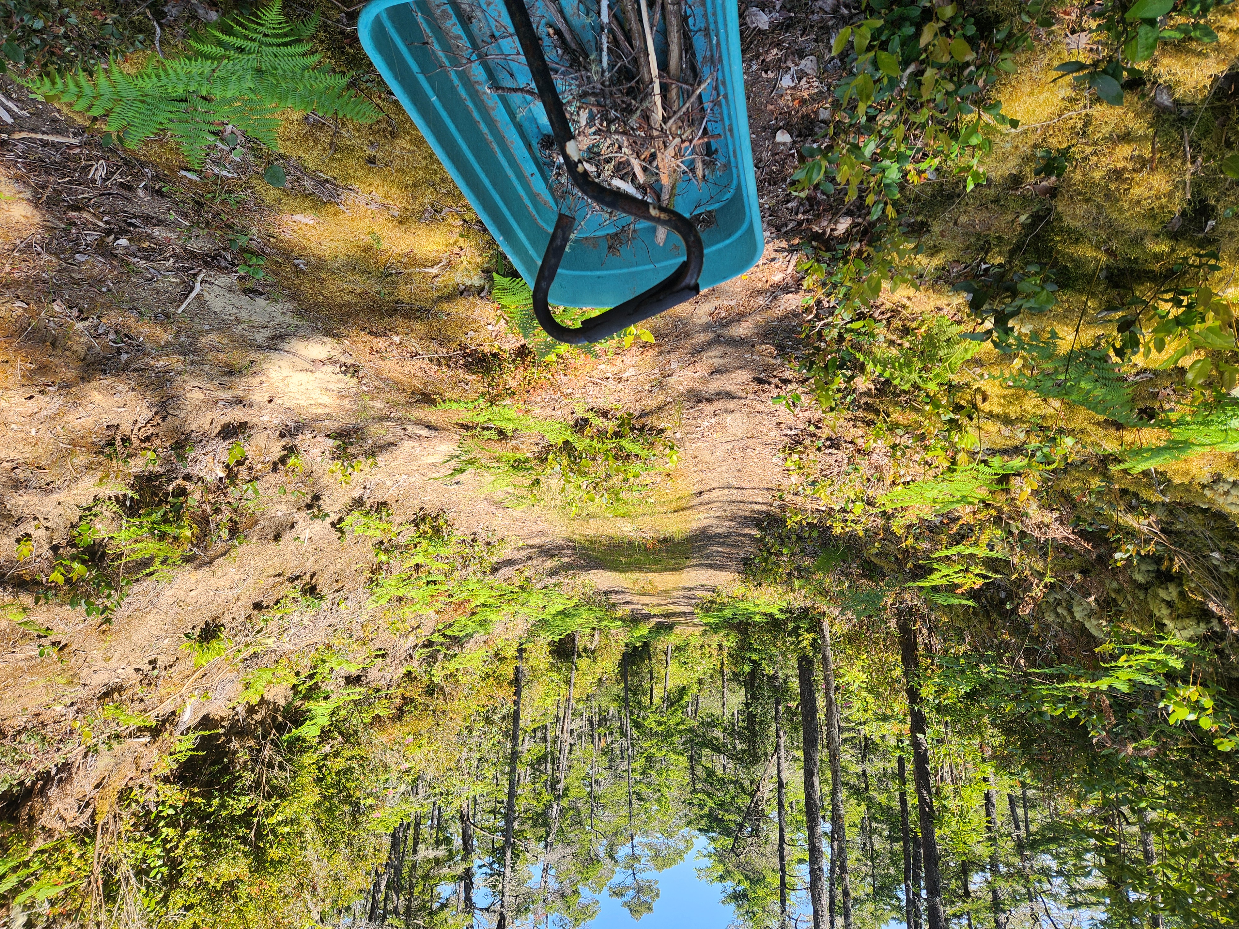 Summer at Siltcoos: Day 8