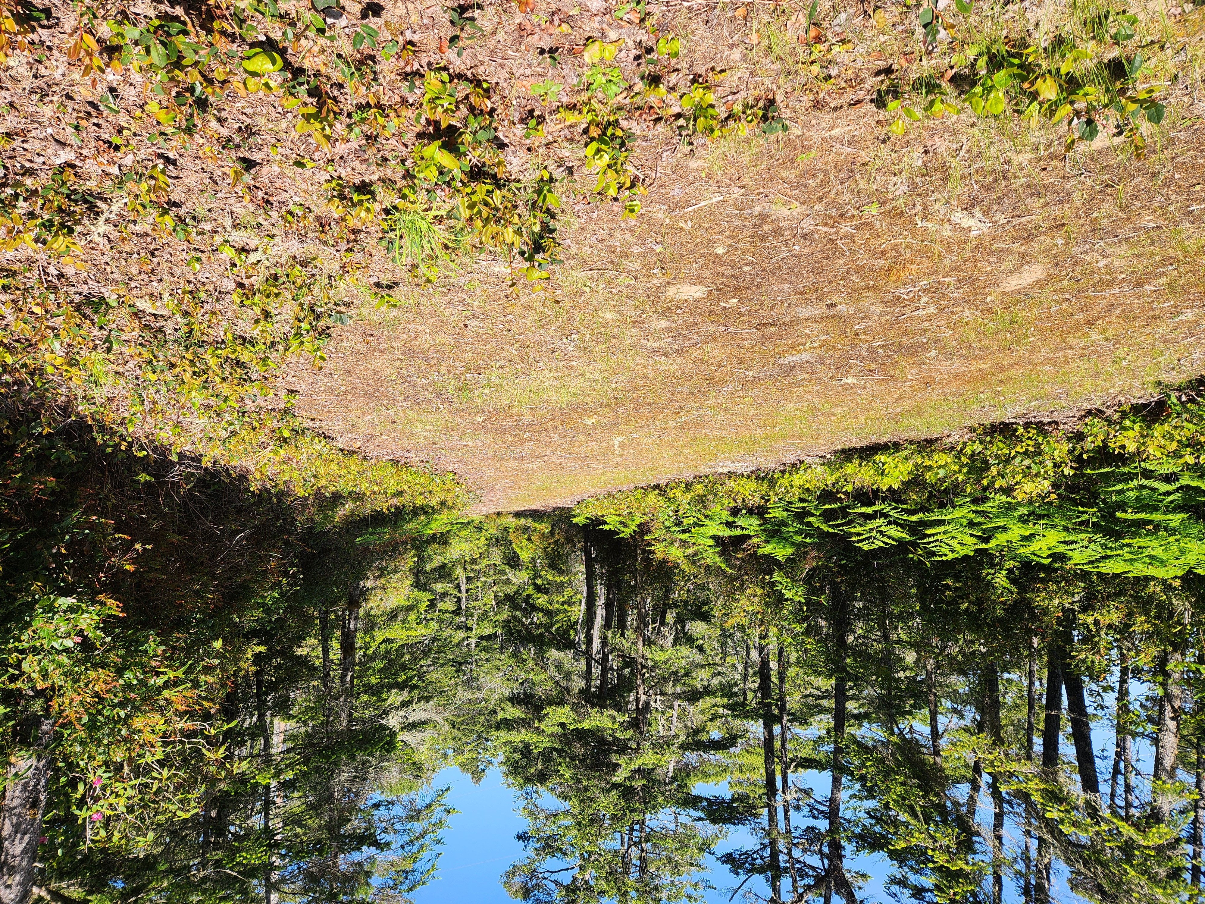 Summer at Siltcoos: Day 8