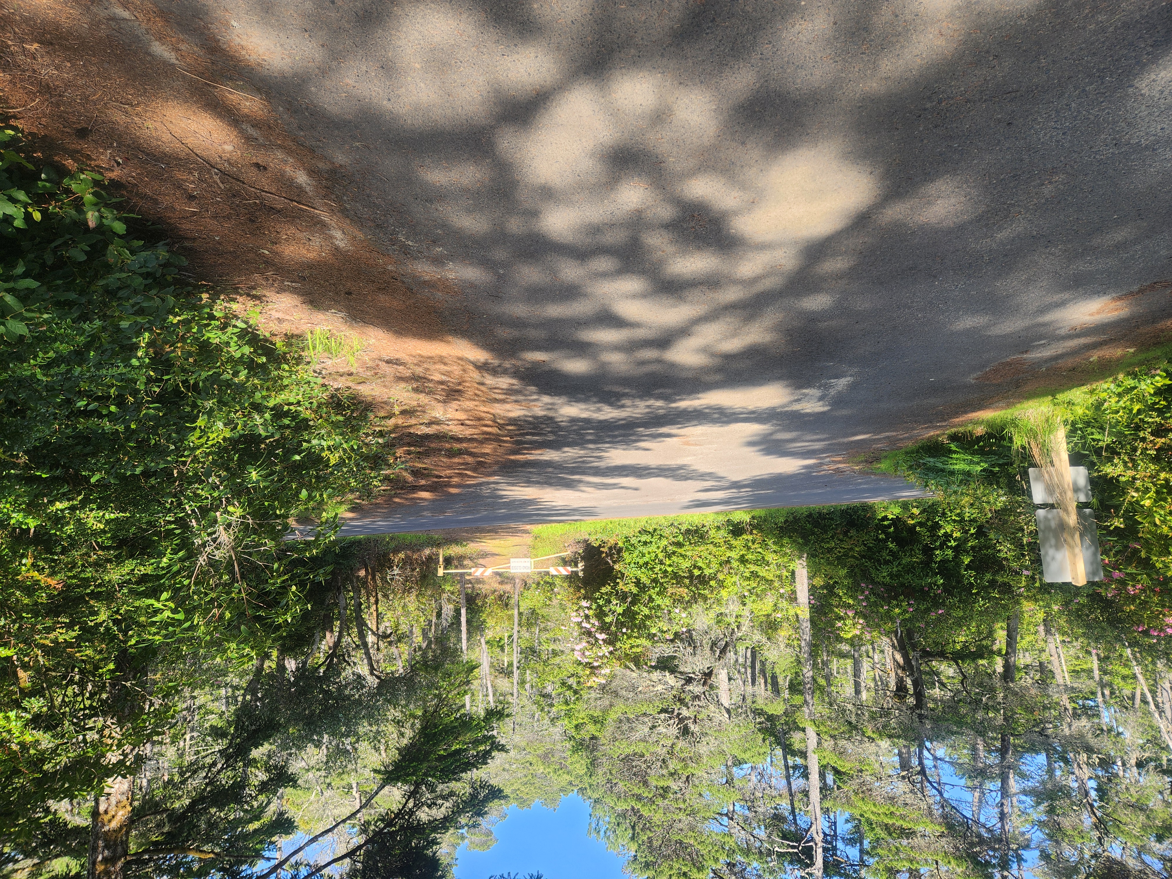 Summer at Siltcoos: Day 8