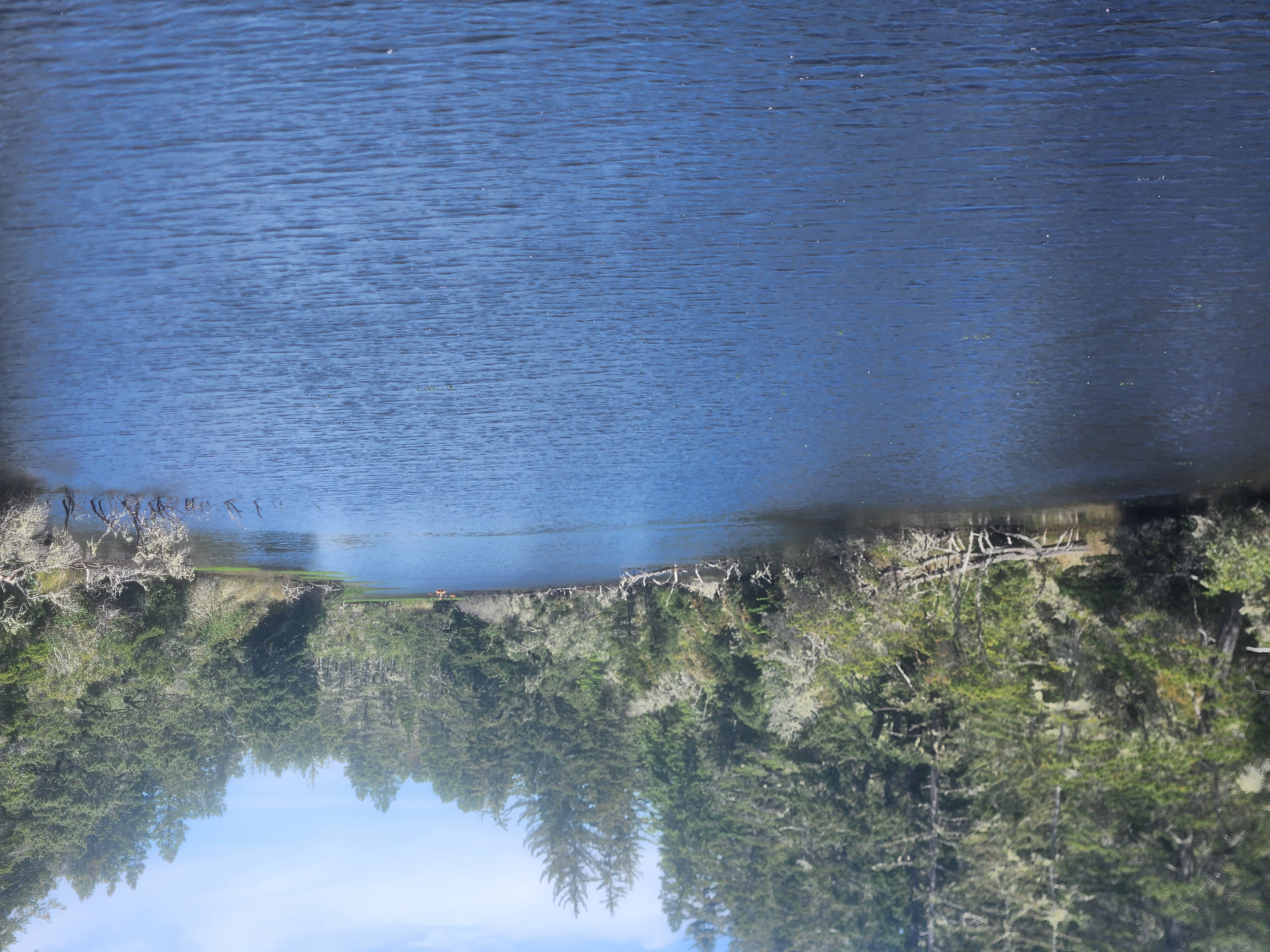 Summer at Siltcoos: Day 9