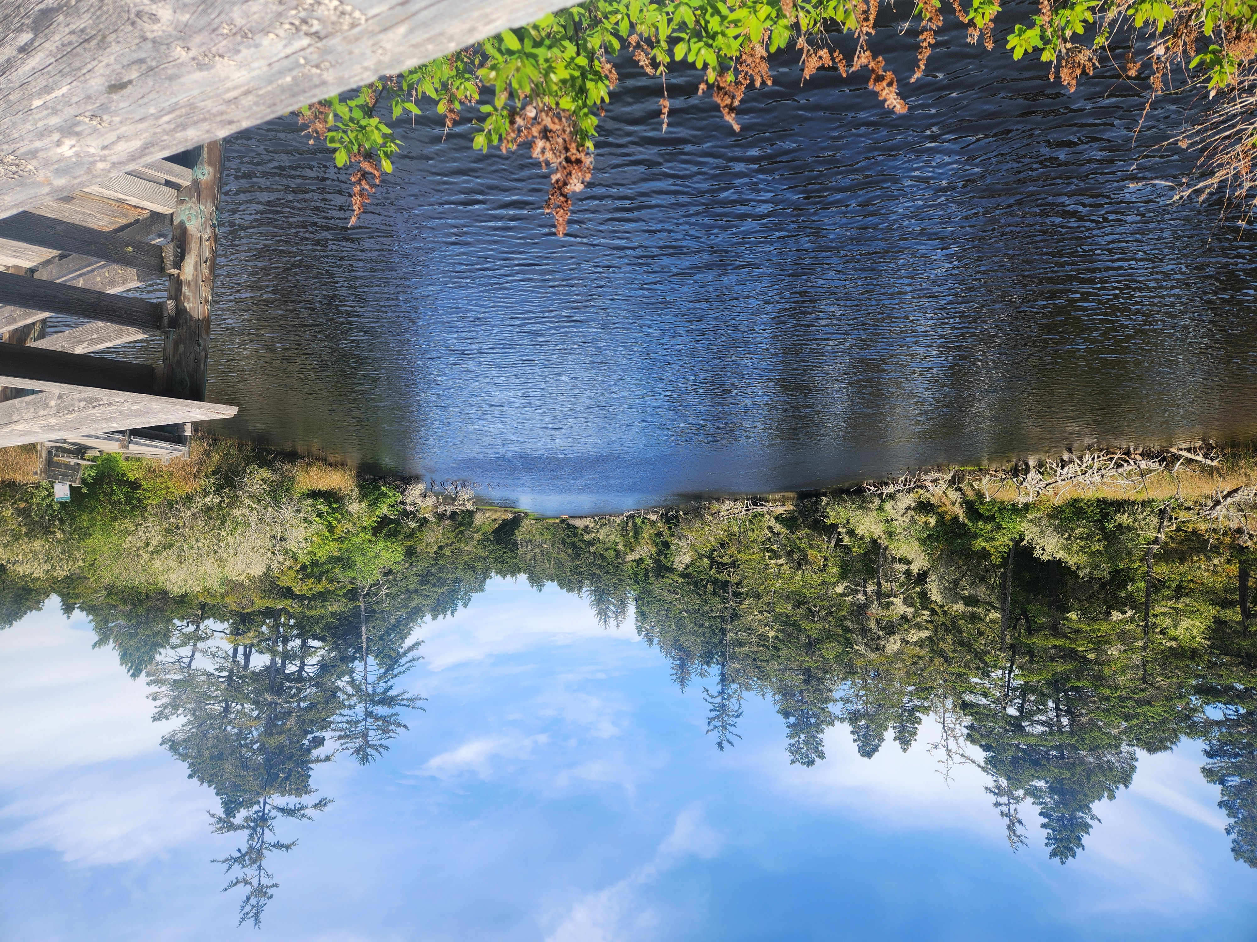 Summer at Siltcoos: Day 9