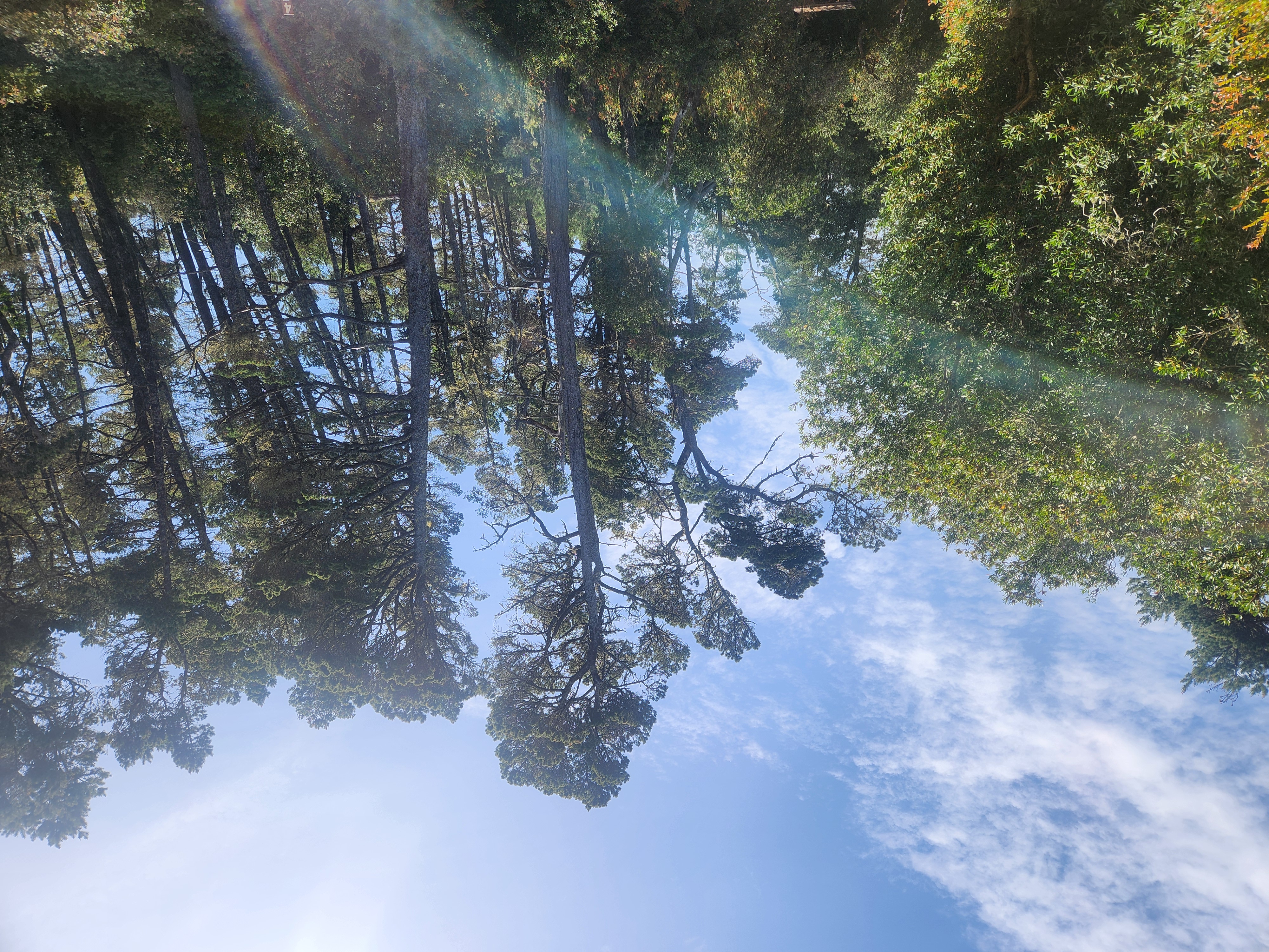 Summer at Siltcoos: Day 9