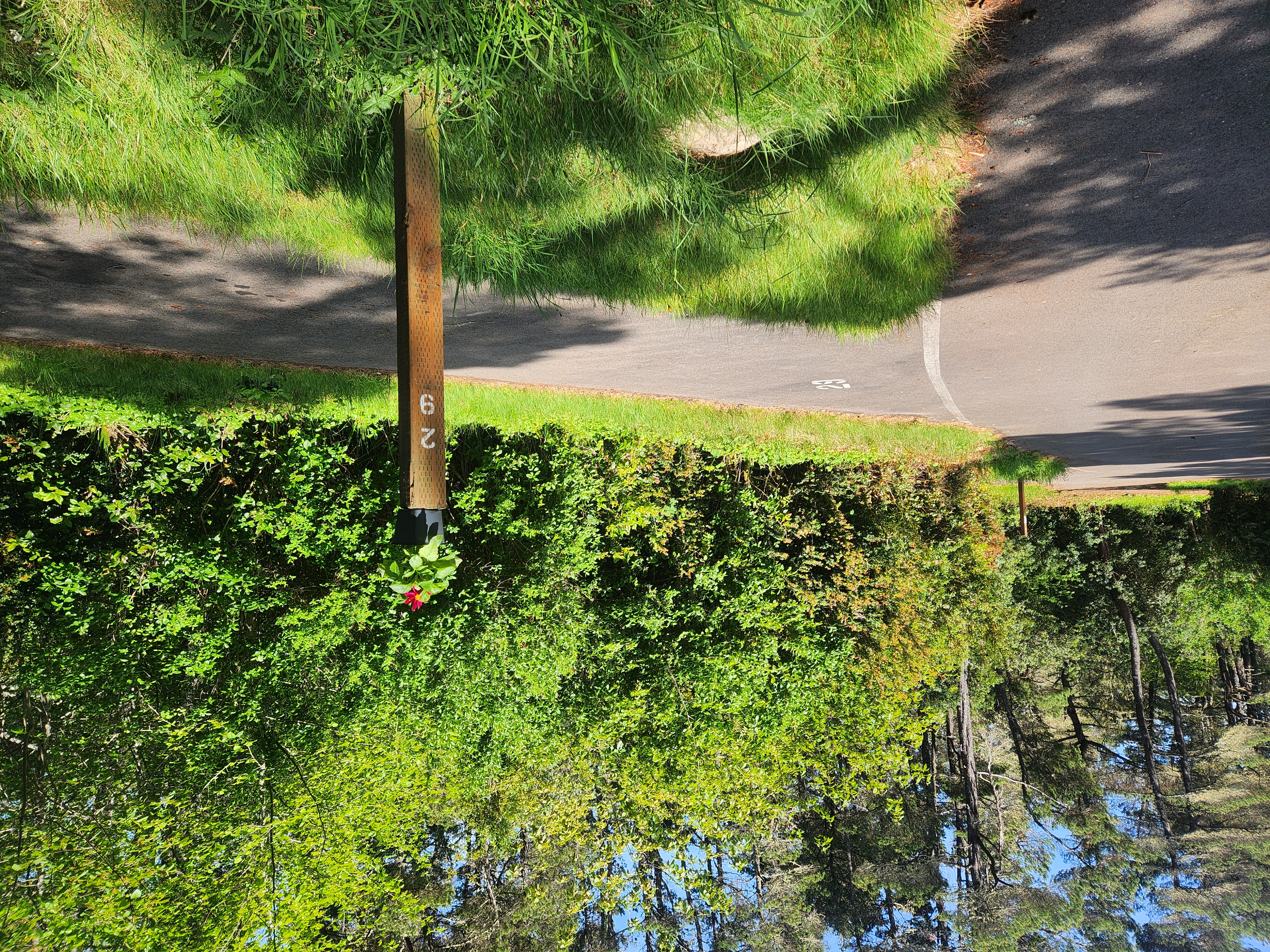 Summer at Siltcoos: Day 9