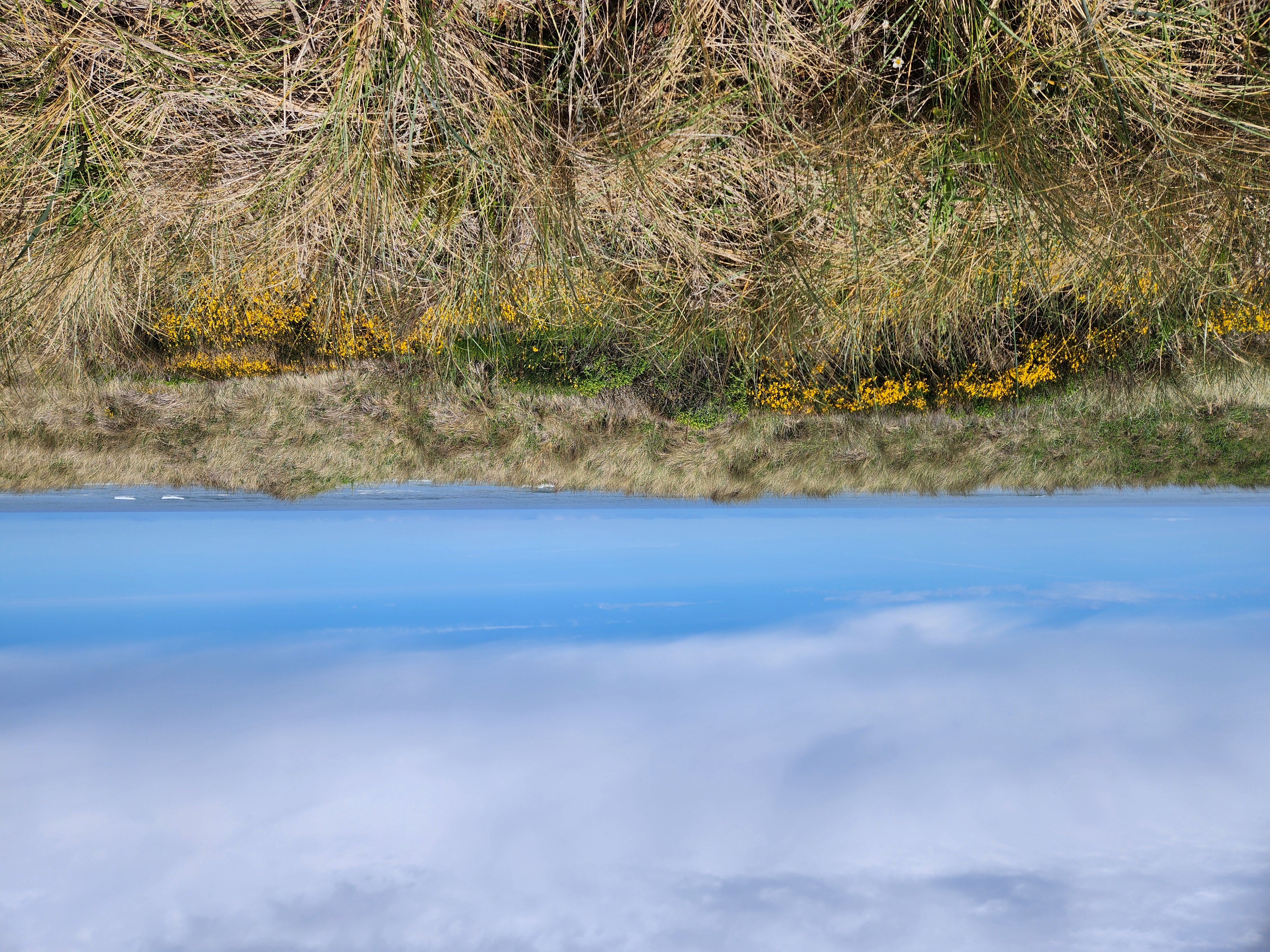 Summer at Siltcoos: Day 10