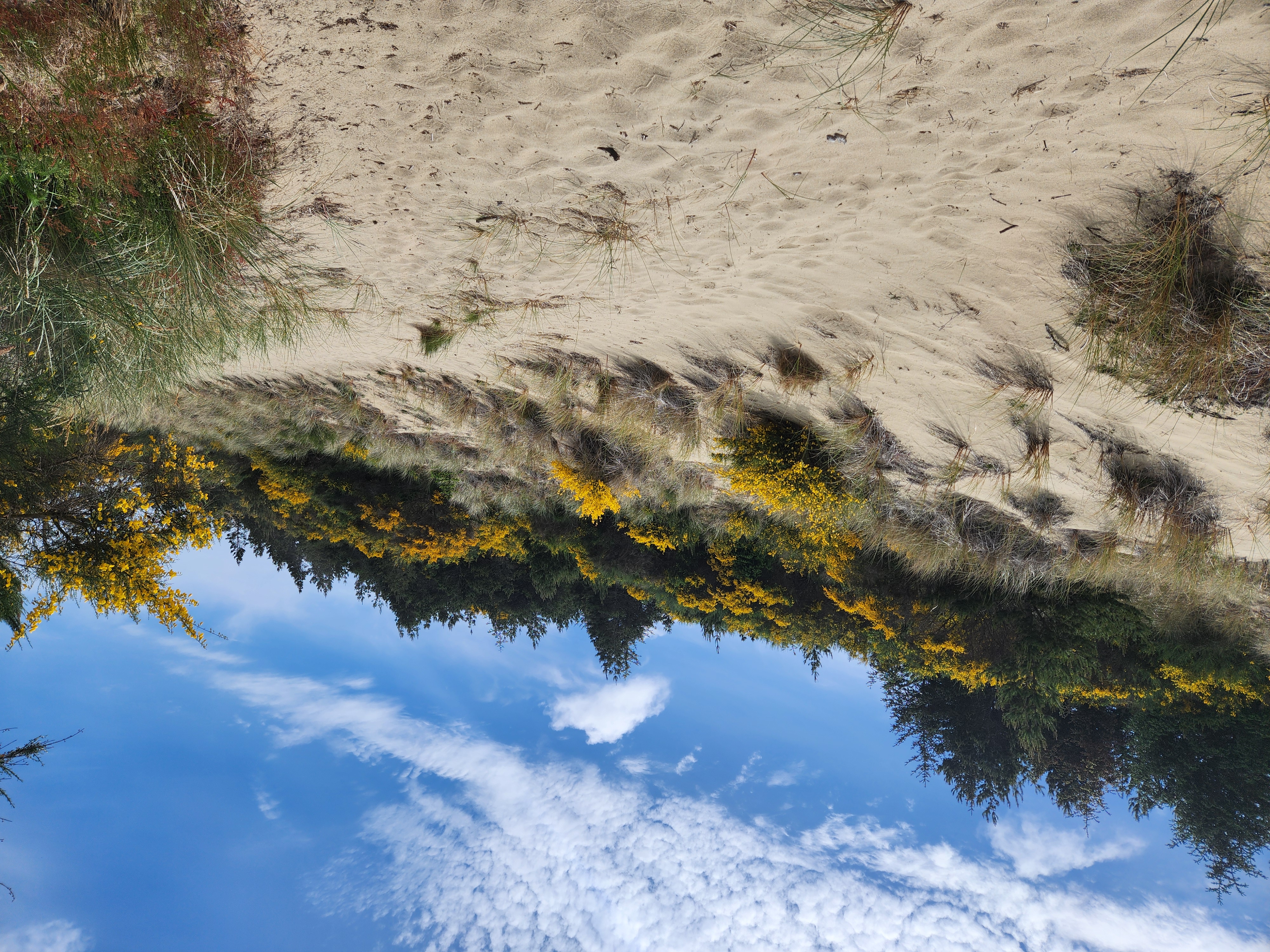 Summer at Siltcoos: Day 10