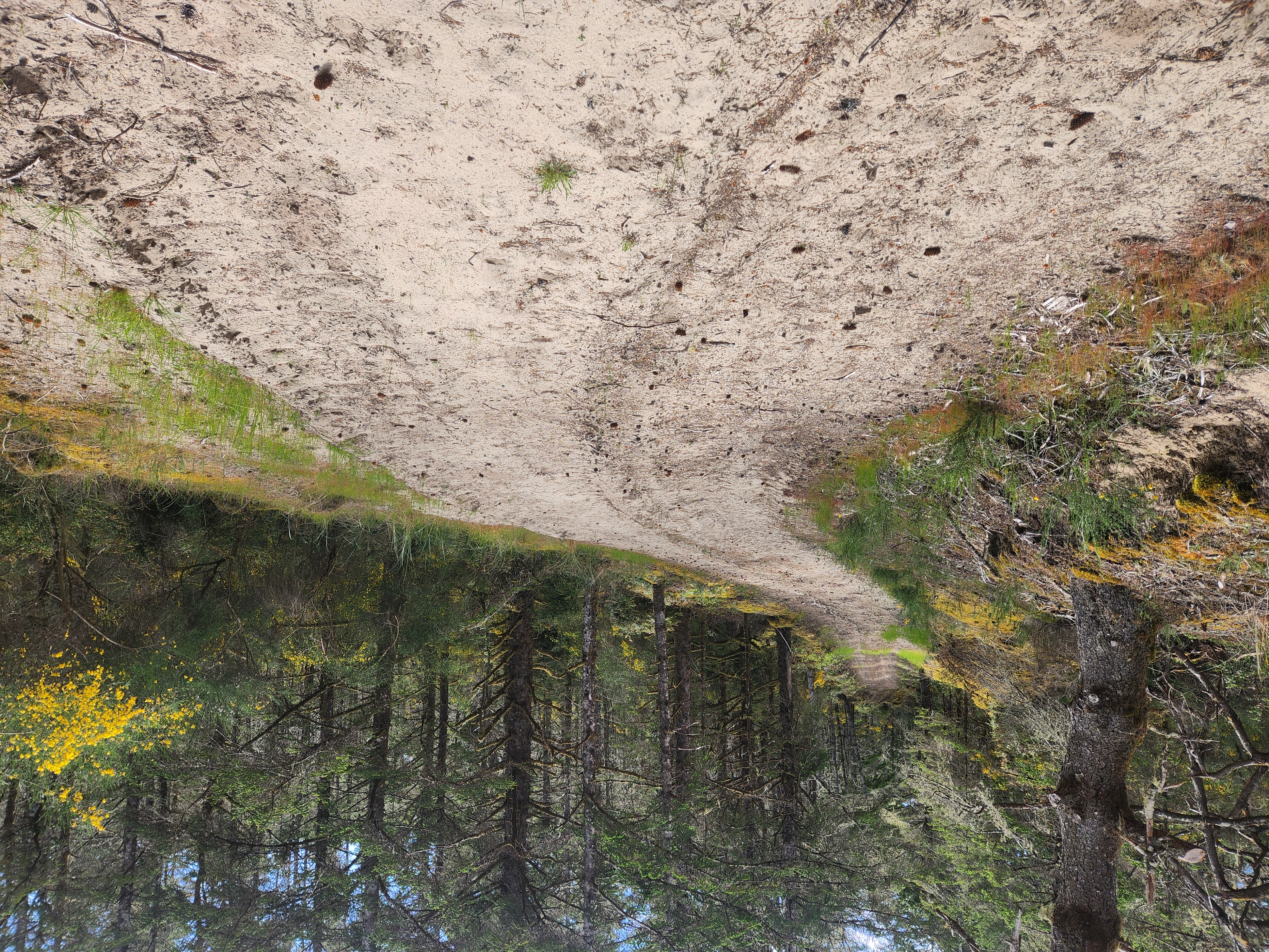 Summer at Siltcoos: Day 10