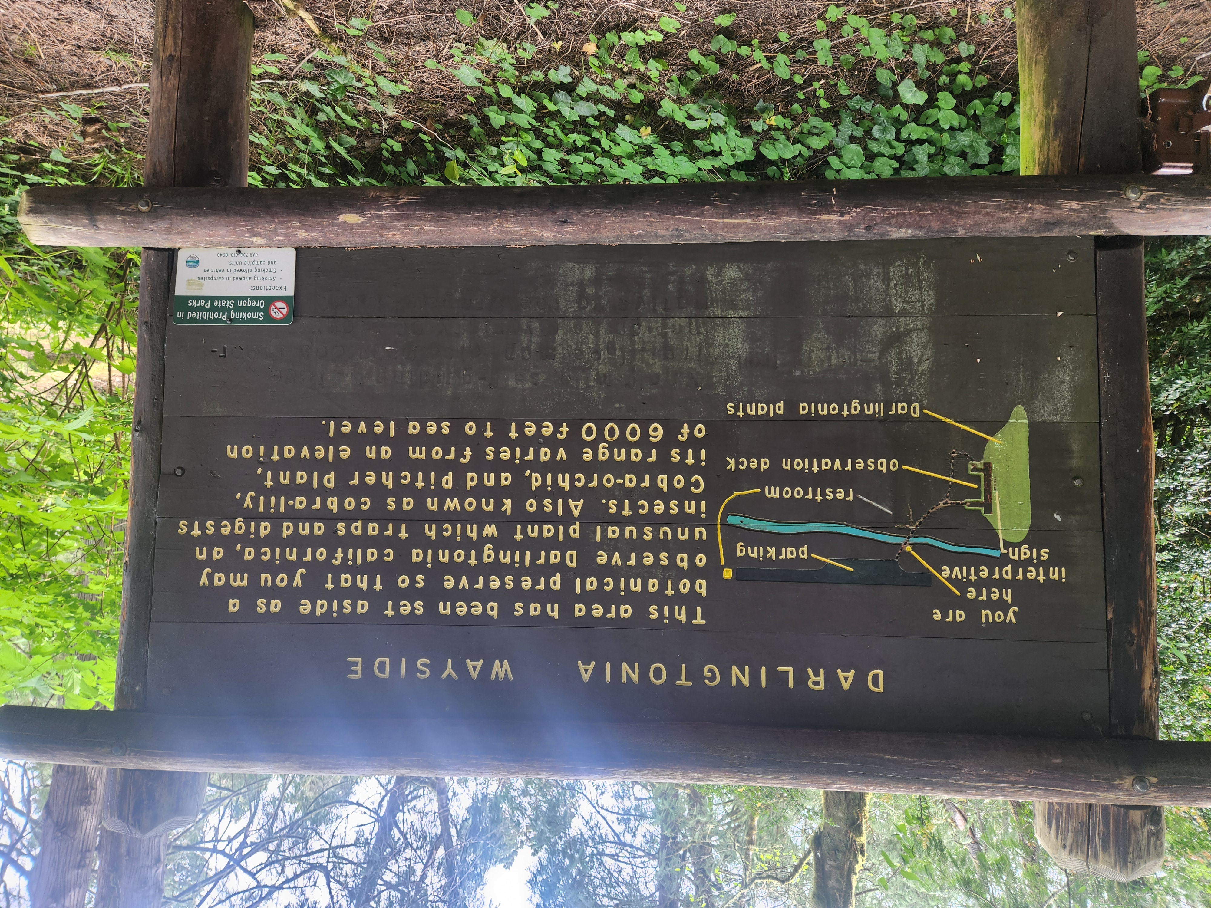 Summer at Siltcoos: Day 12