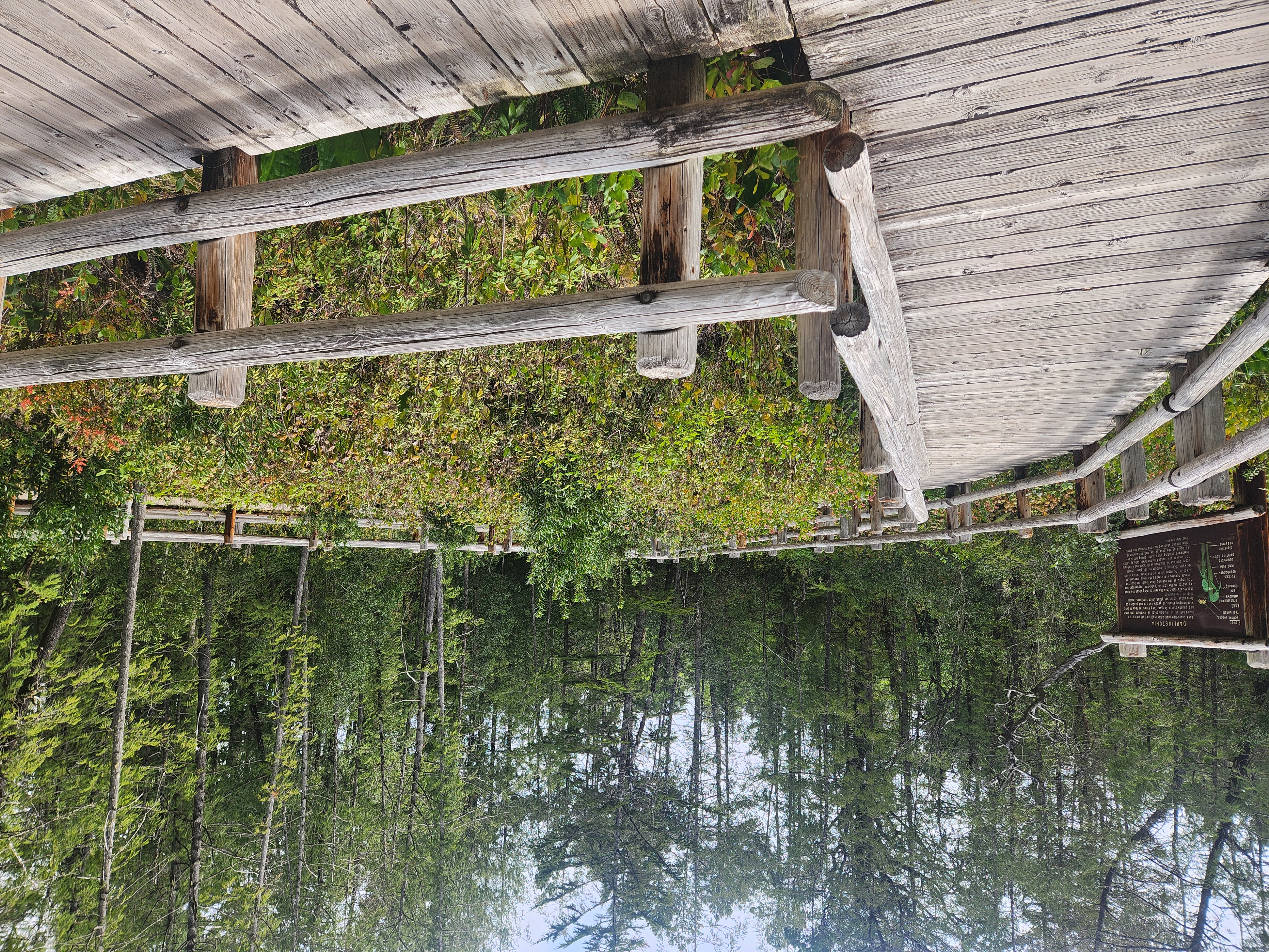 Summer at Siltcoos: Day 12