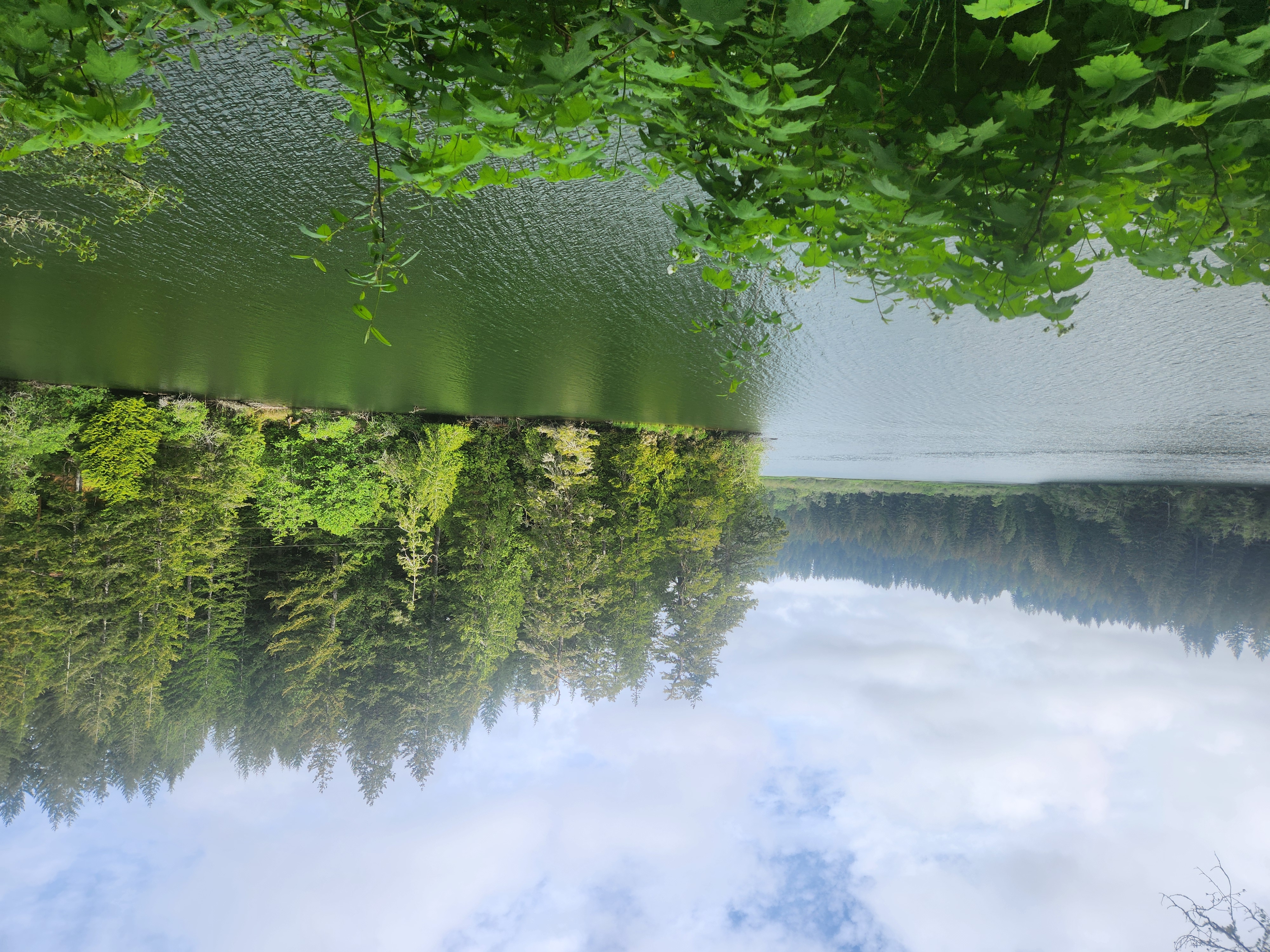 Summer at Siltcoos: Day 12