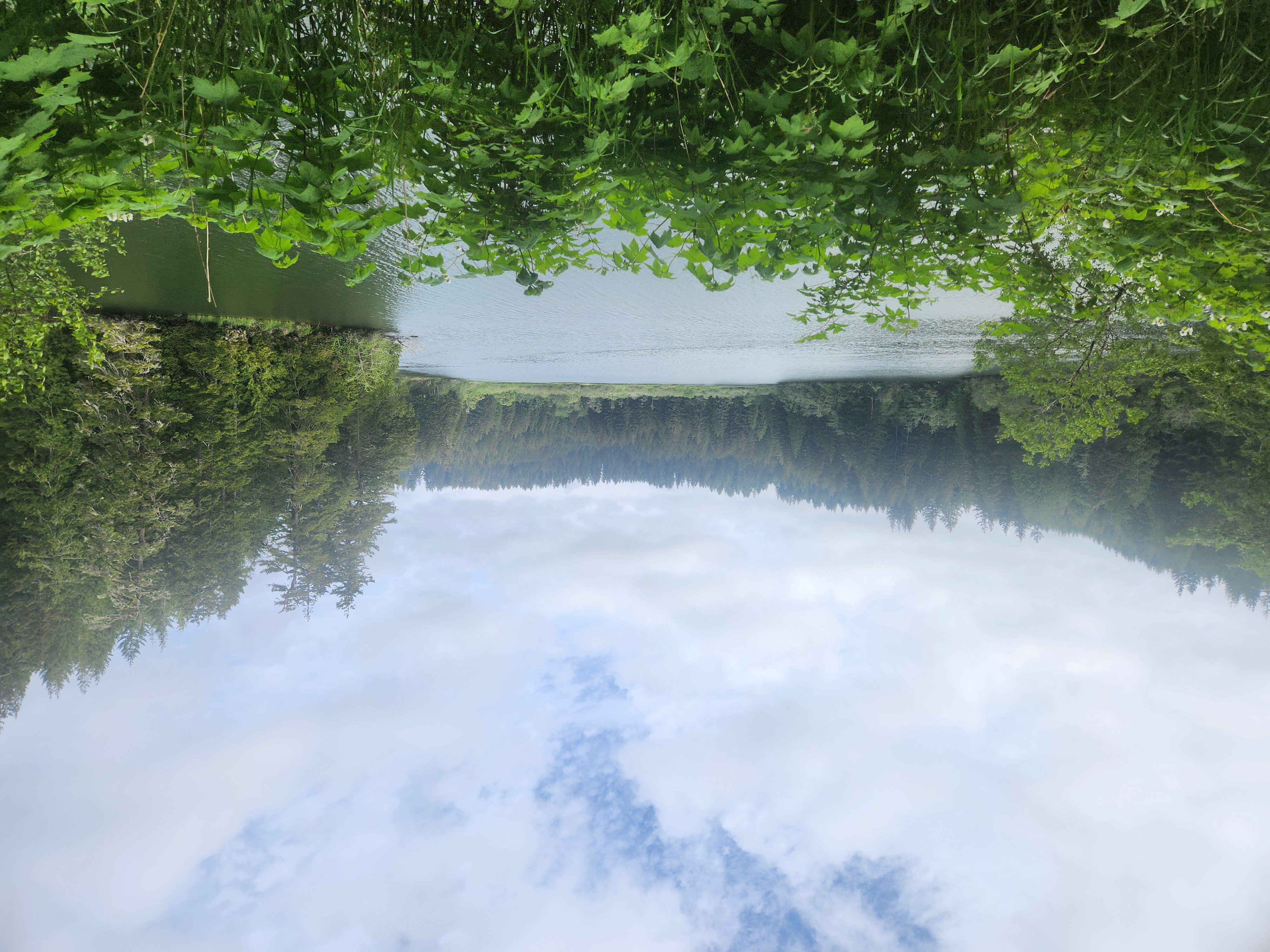 Summer at Siltcoos: Day 12
