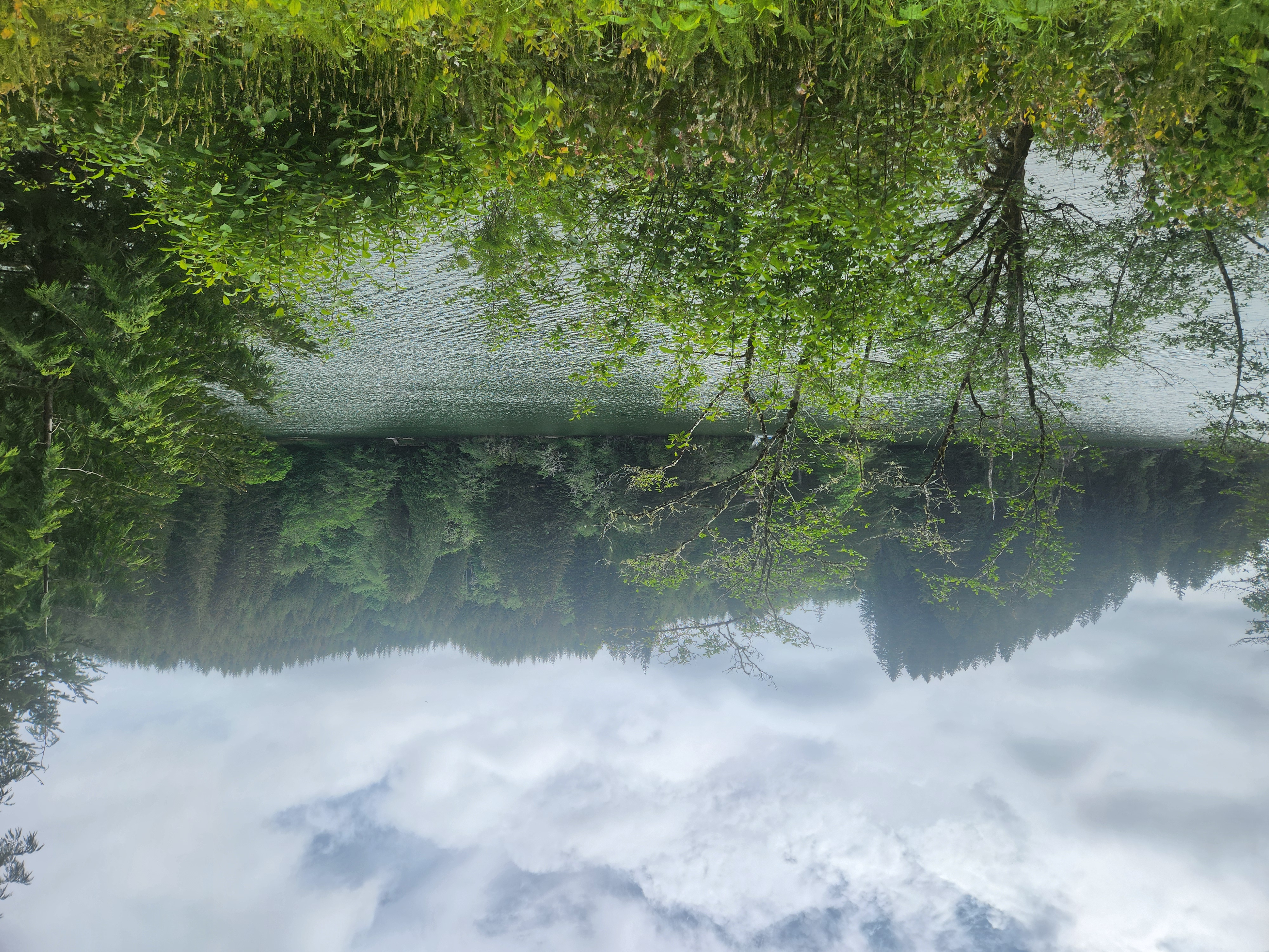 Summer at Siltcoos: Day 12