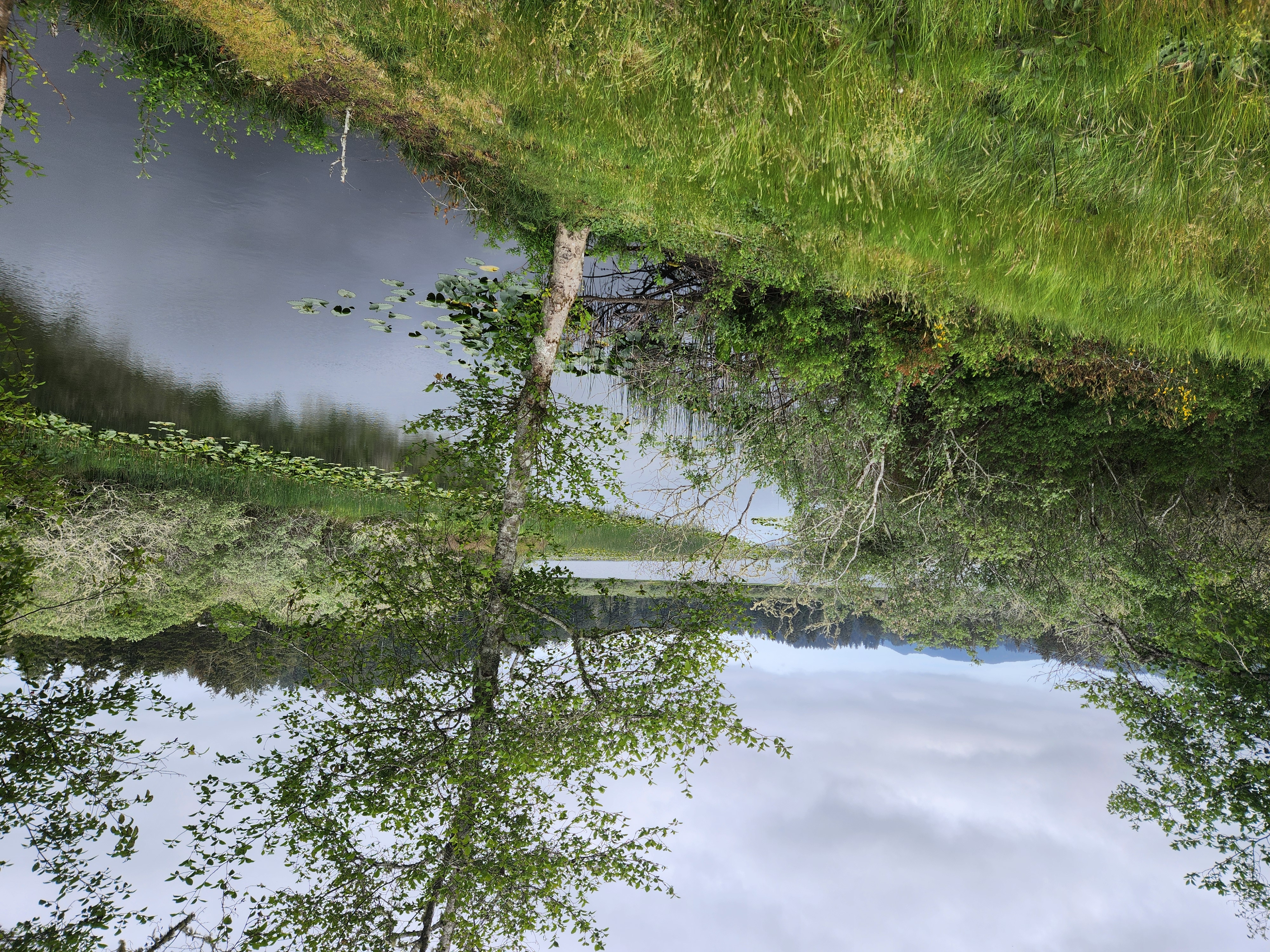 Summer at Siltcoos: Day 12