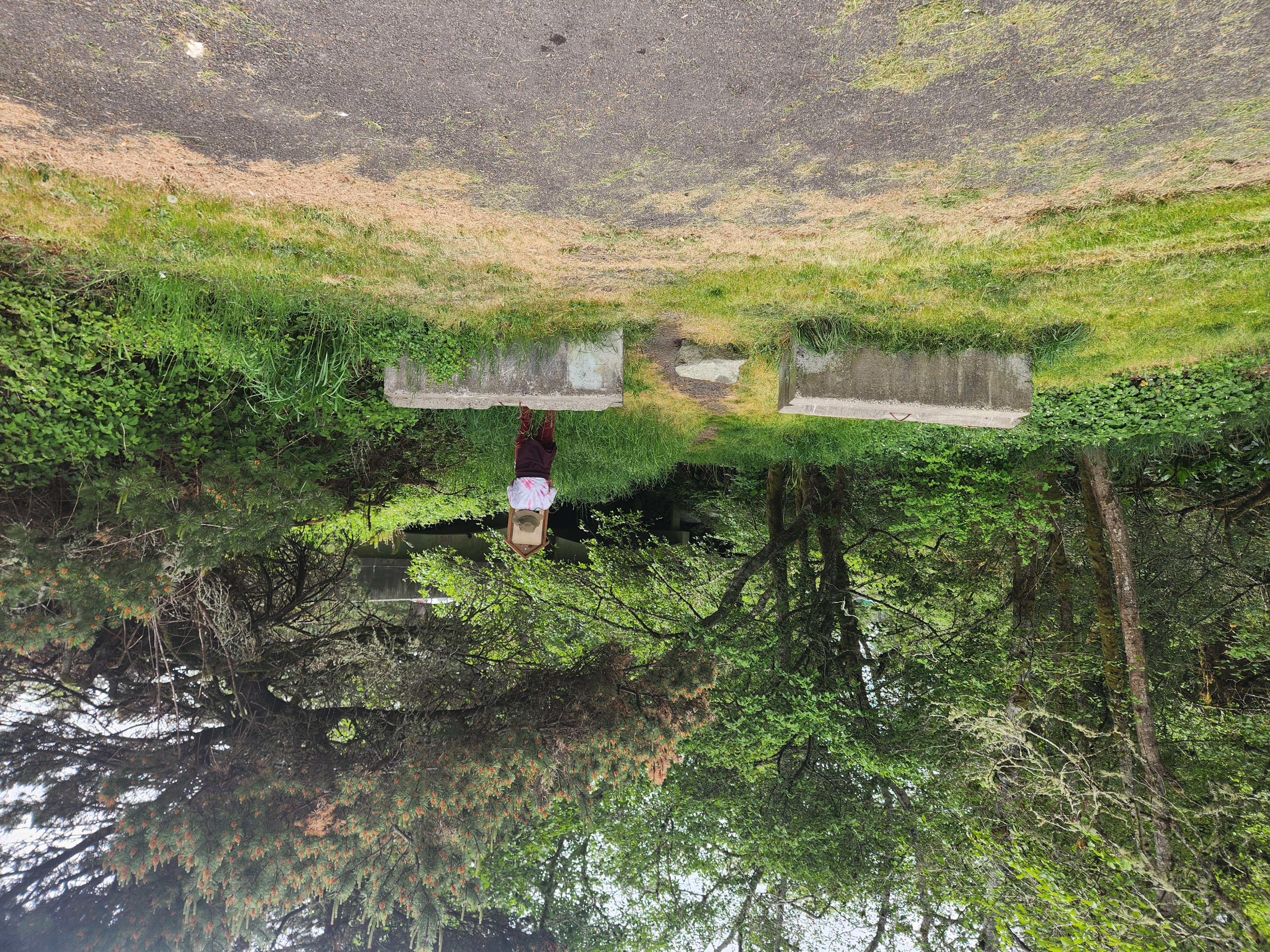 Summer at Siltcoos: Day 12