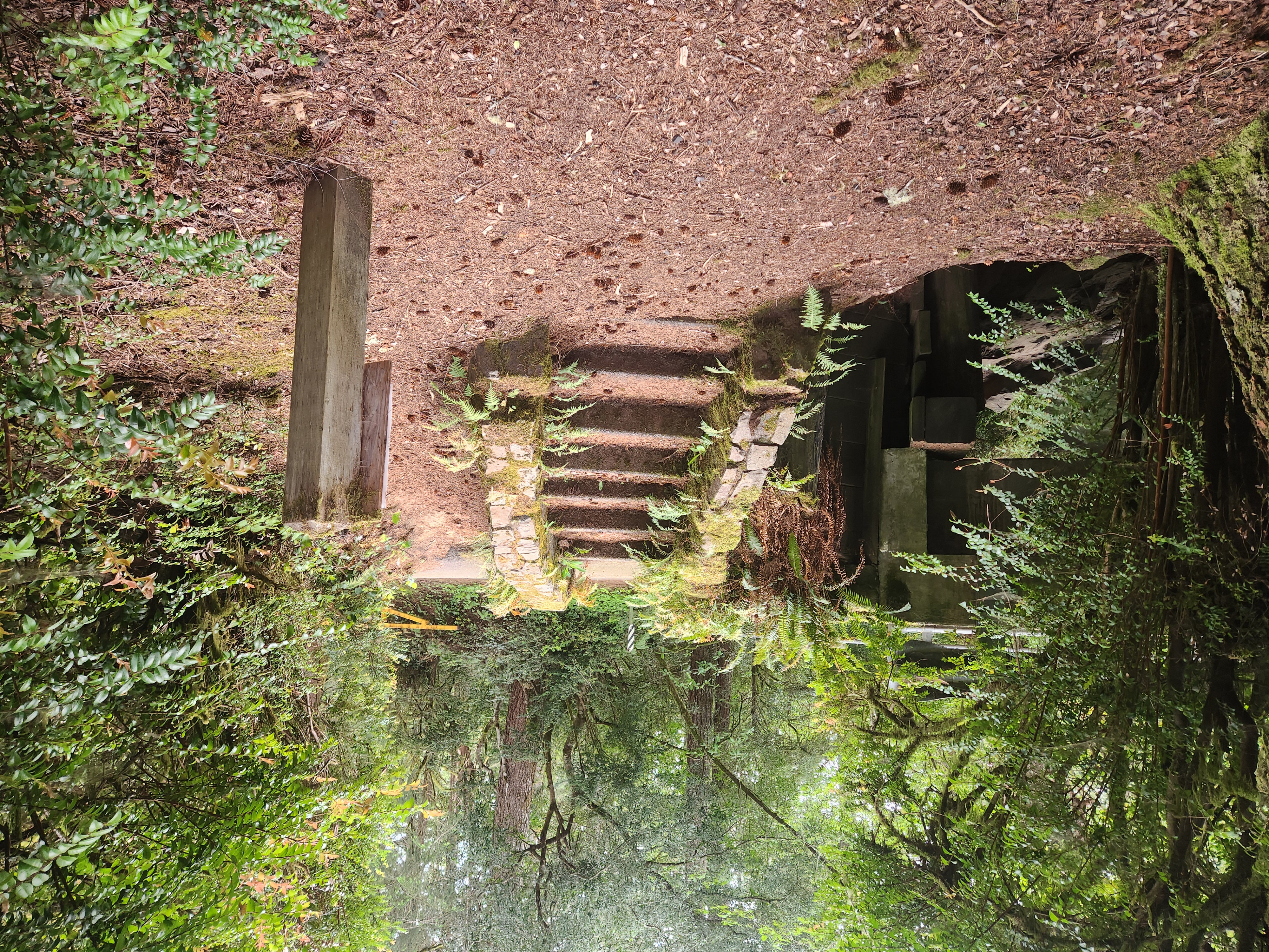Summer at Siltcoos: Day 12