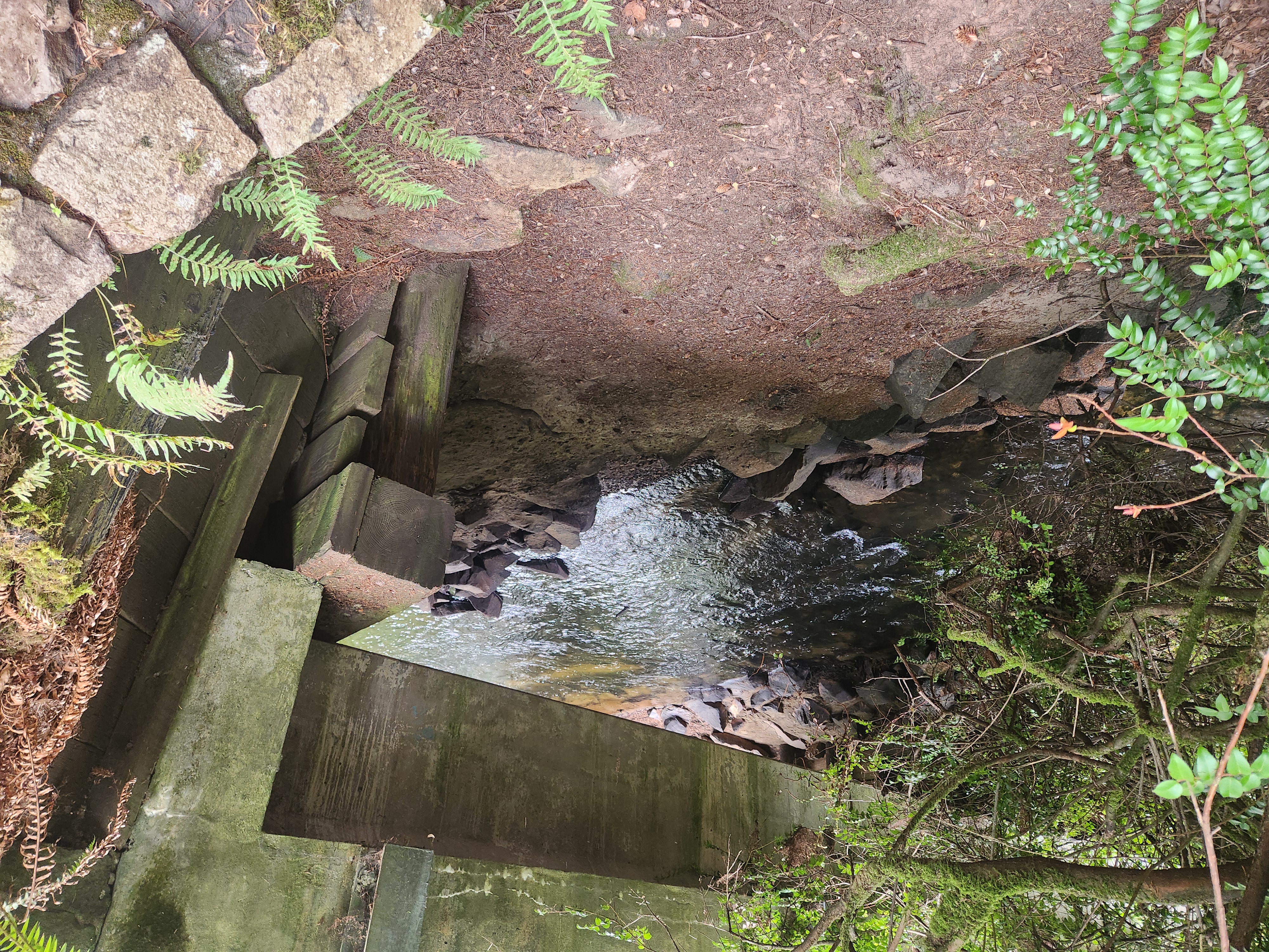 Summer at Siltcoos: Day 12