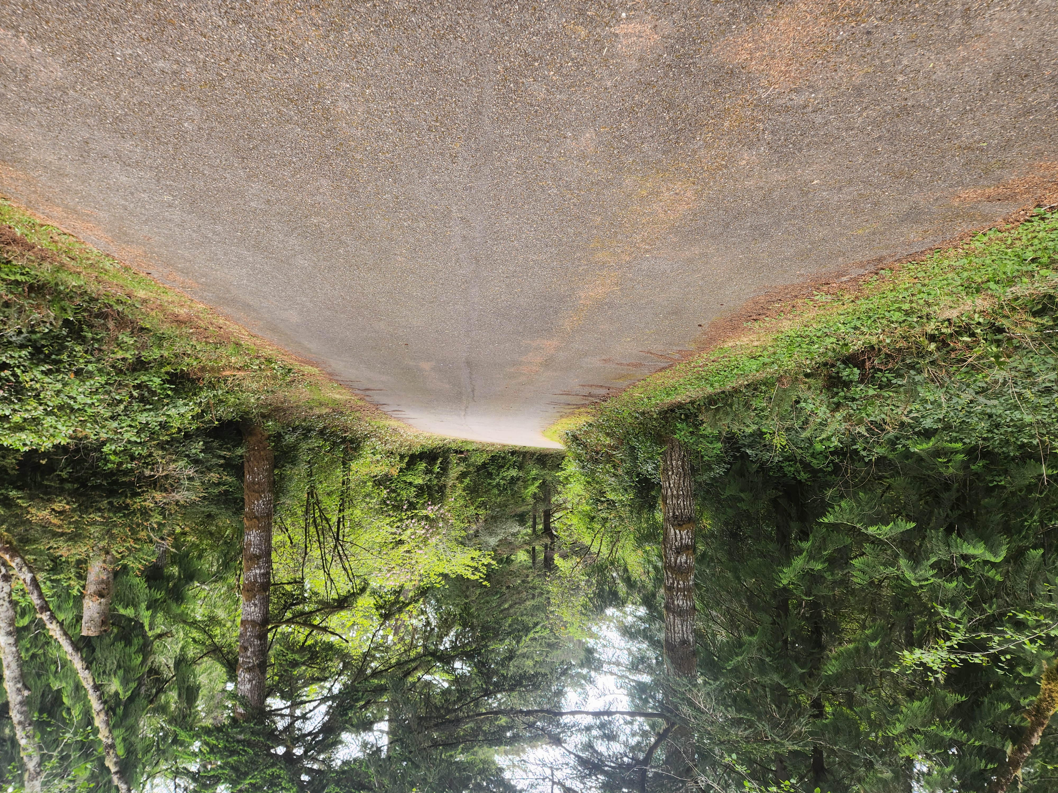 Summer at Siltcoos: Day 12
