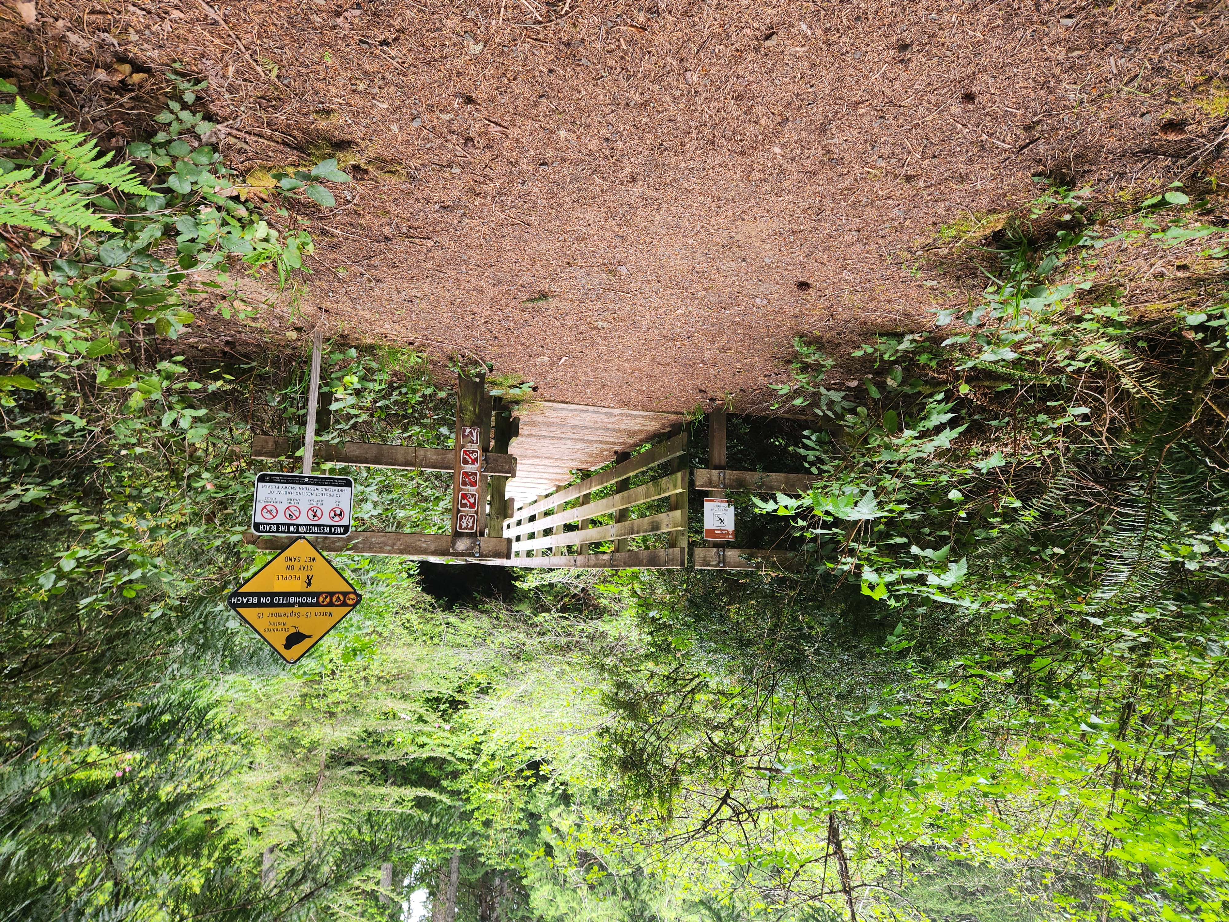 Summer at Siltcoos: Day 12