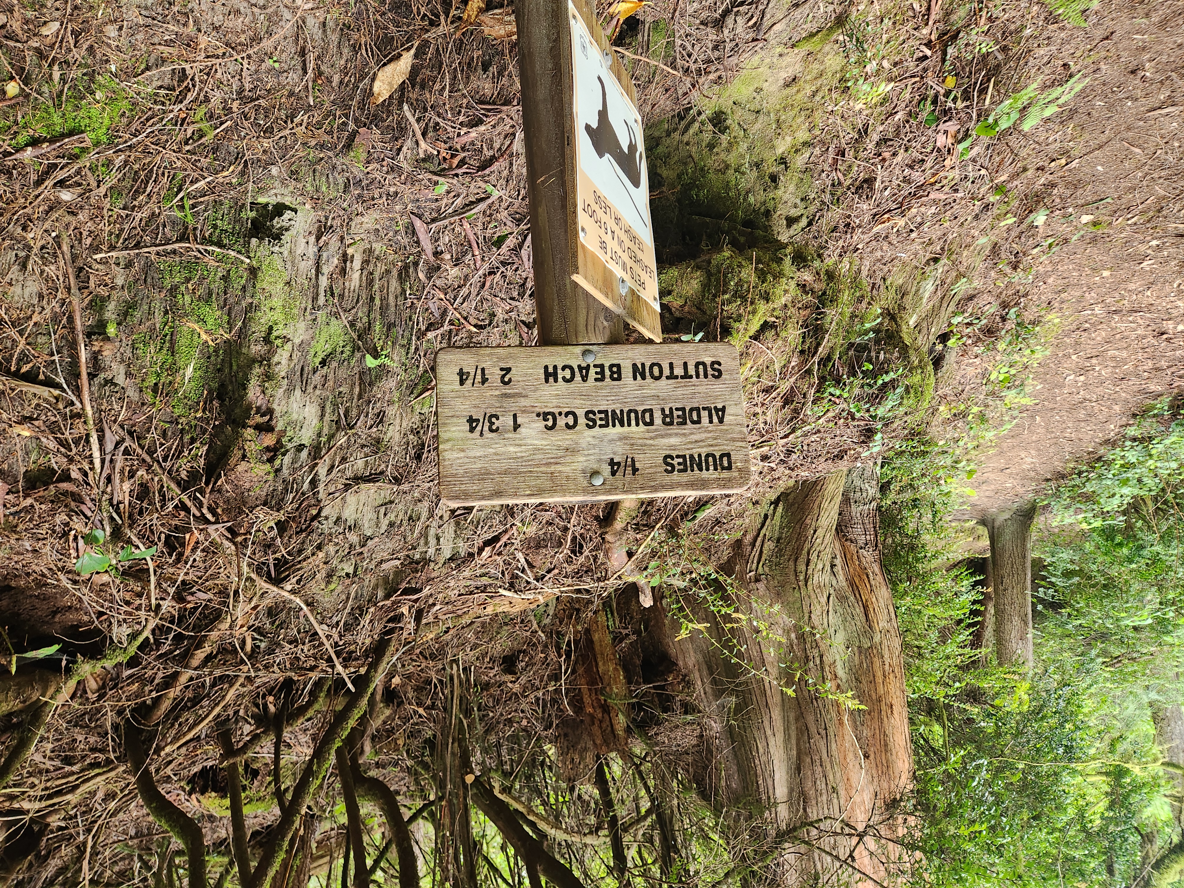 Summer at Siltcoos: Day 12