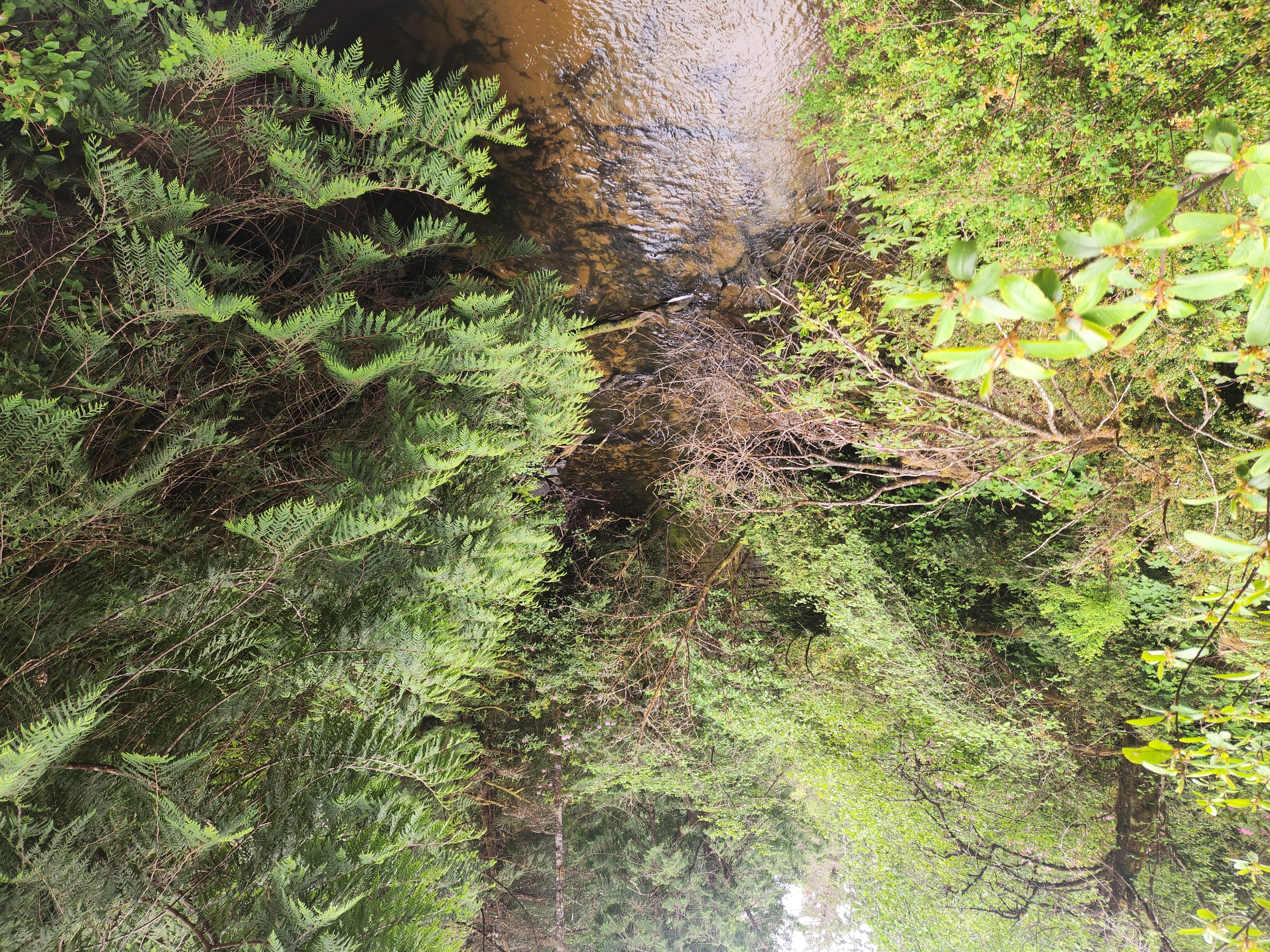 Summer at Siltcoos: Day 12