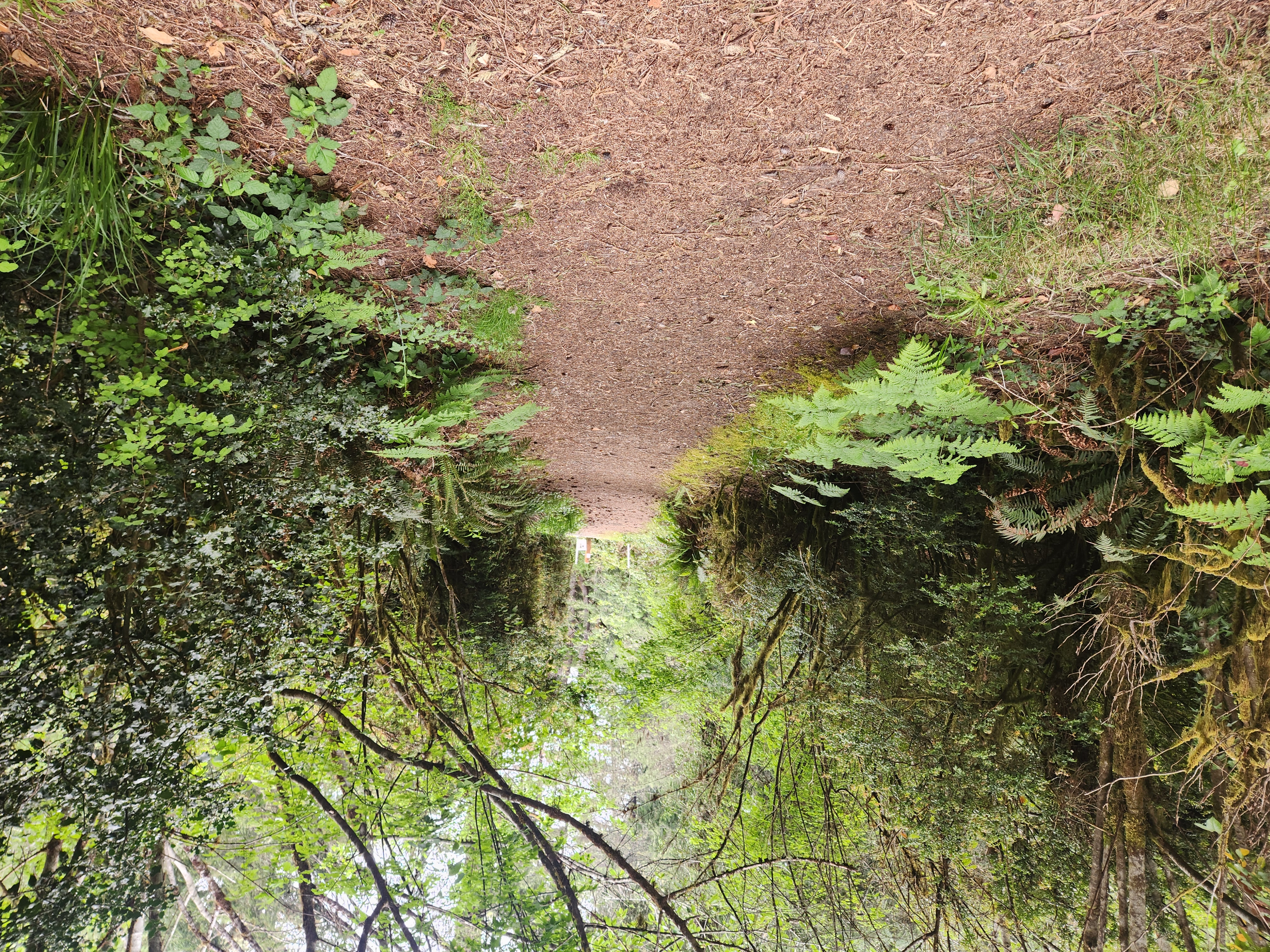 Summer at Siltcoos: Day 12
