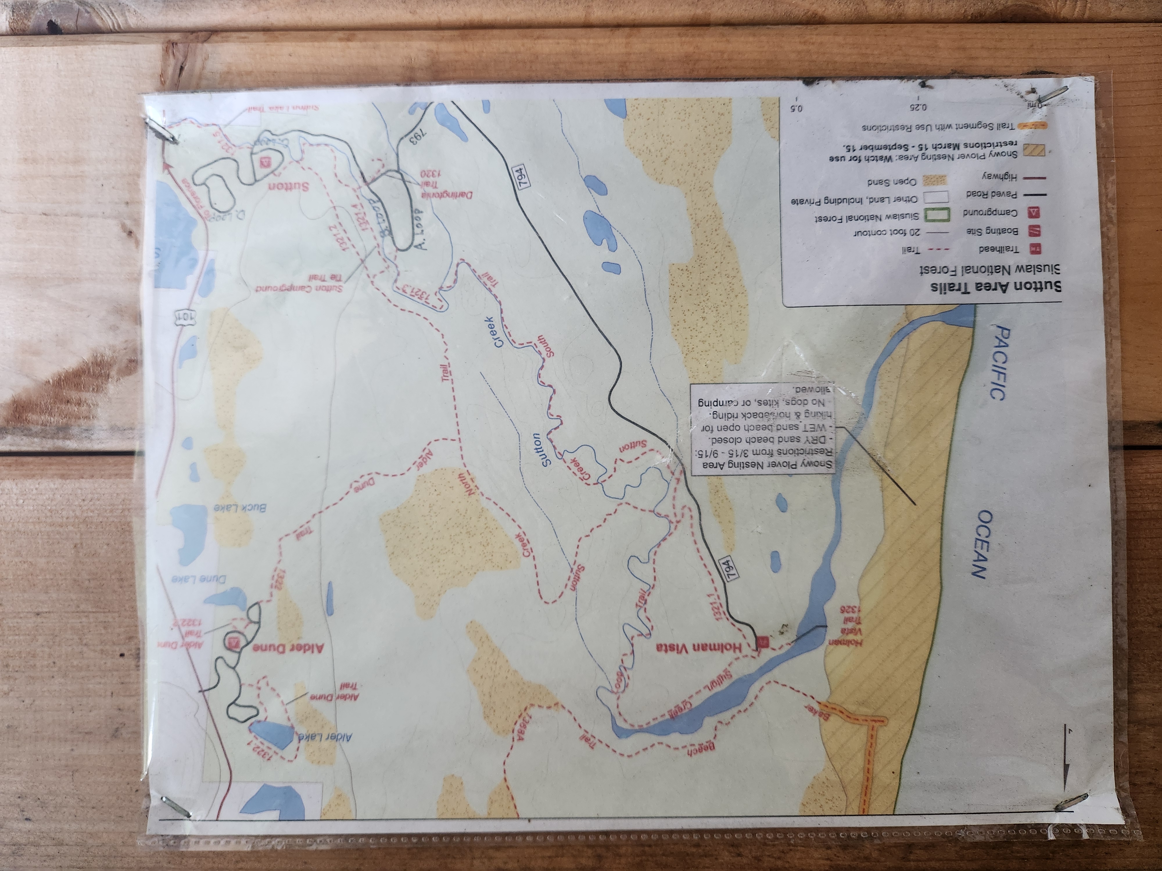Summer at Siltcoos: Day 12