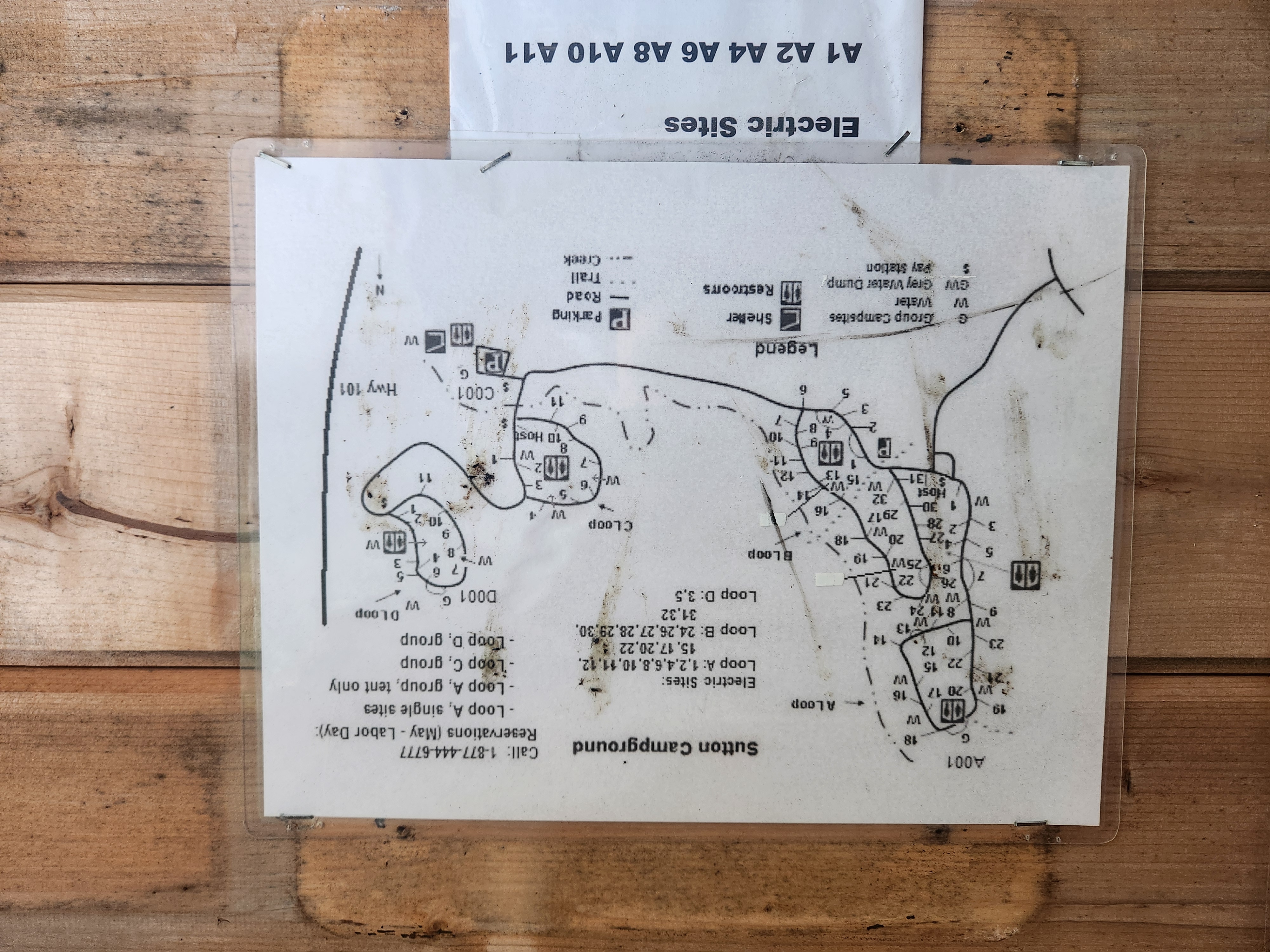 Summer at Siltcoos: Day 12