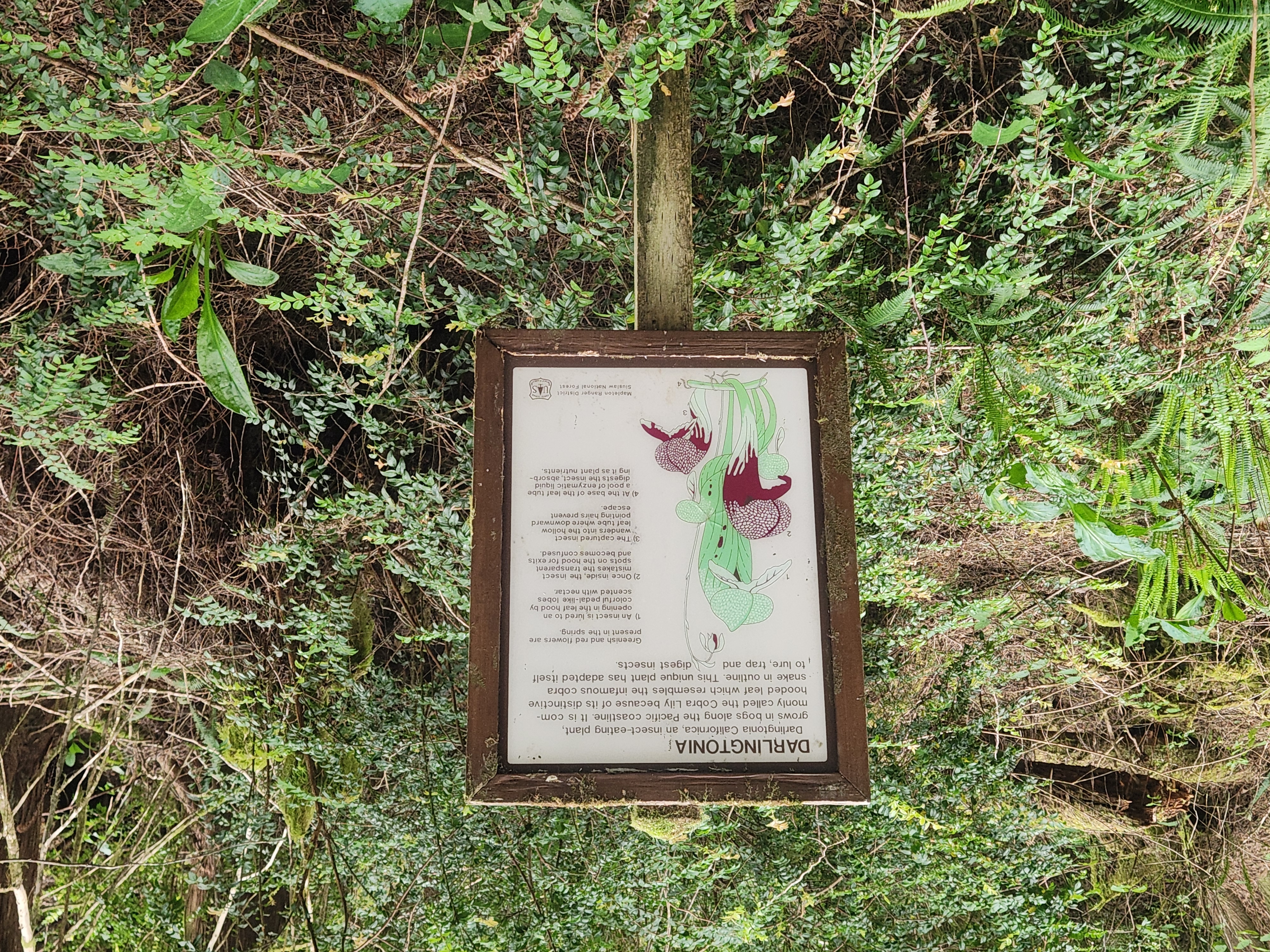 Summer at Siltcoos: Day 12