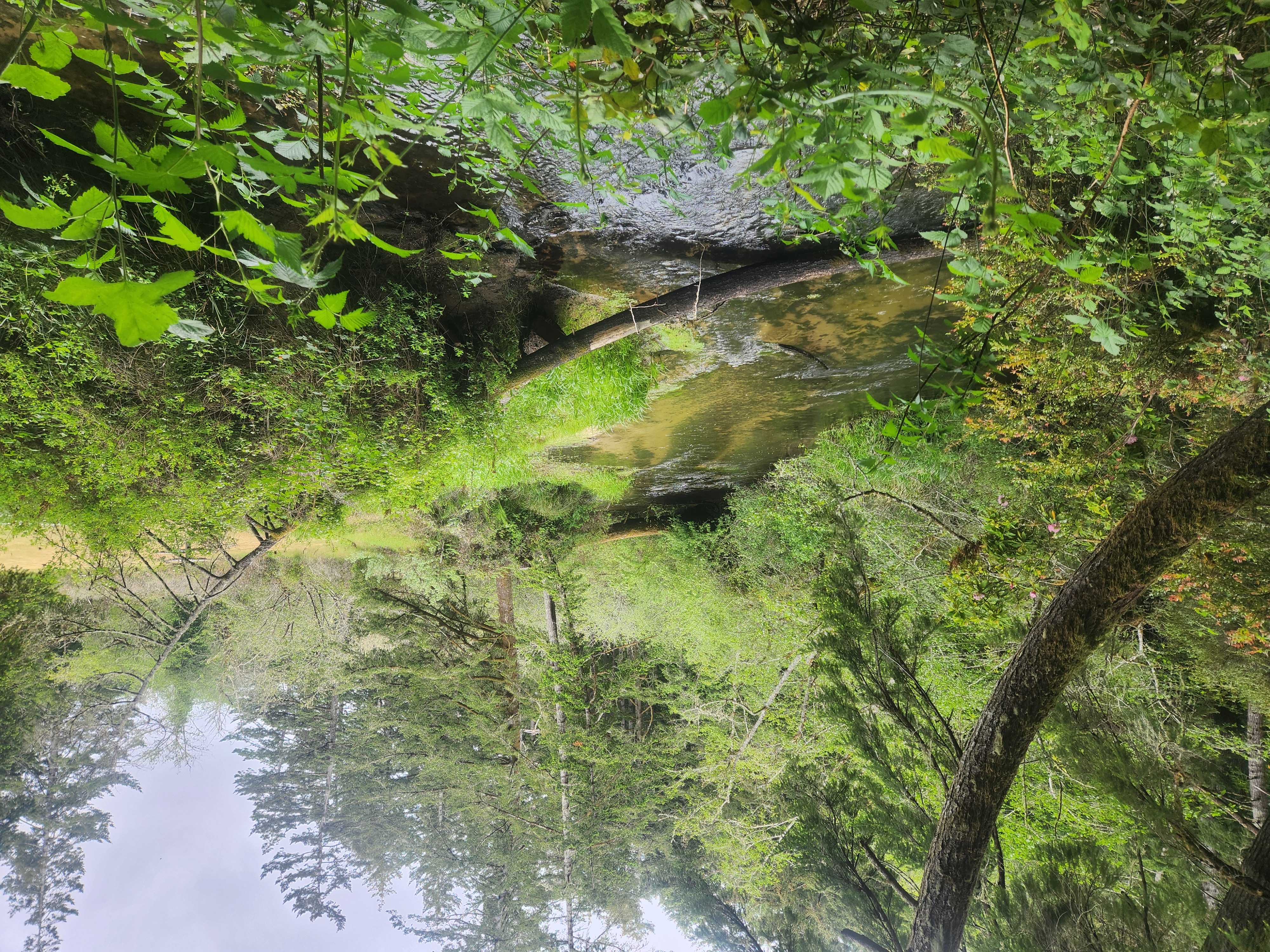 Summer at Siltcoos: Day 12