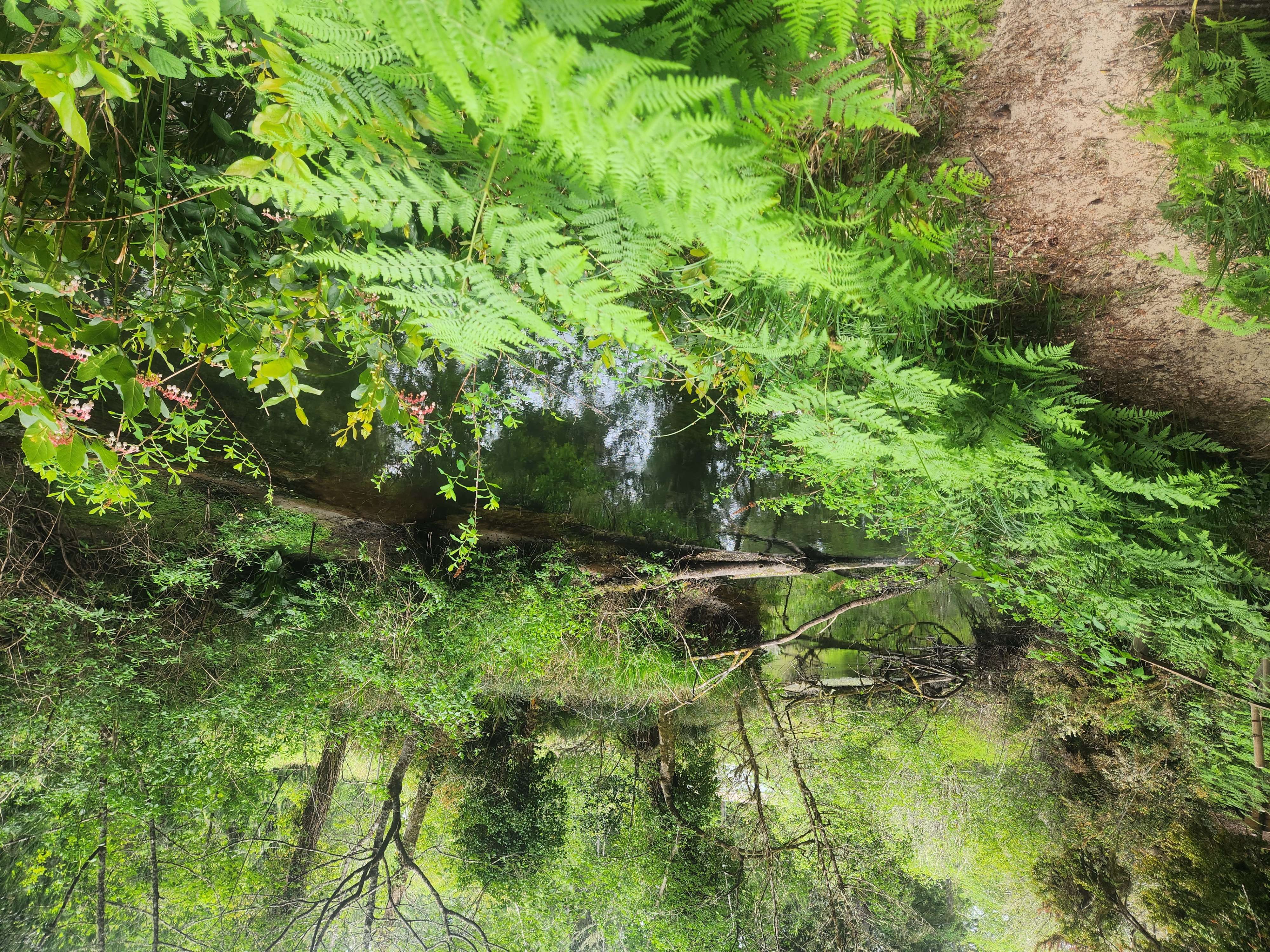 Summer at Siltcoos: Day 12