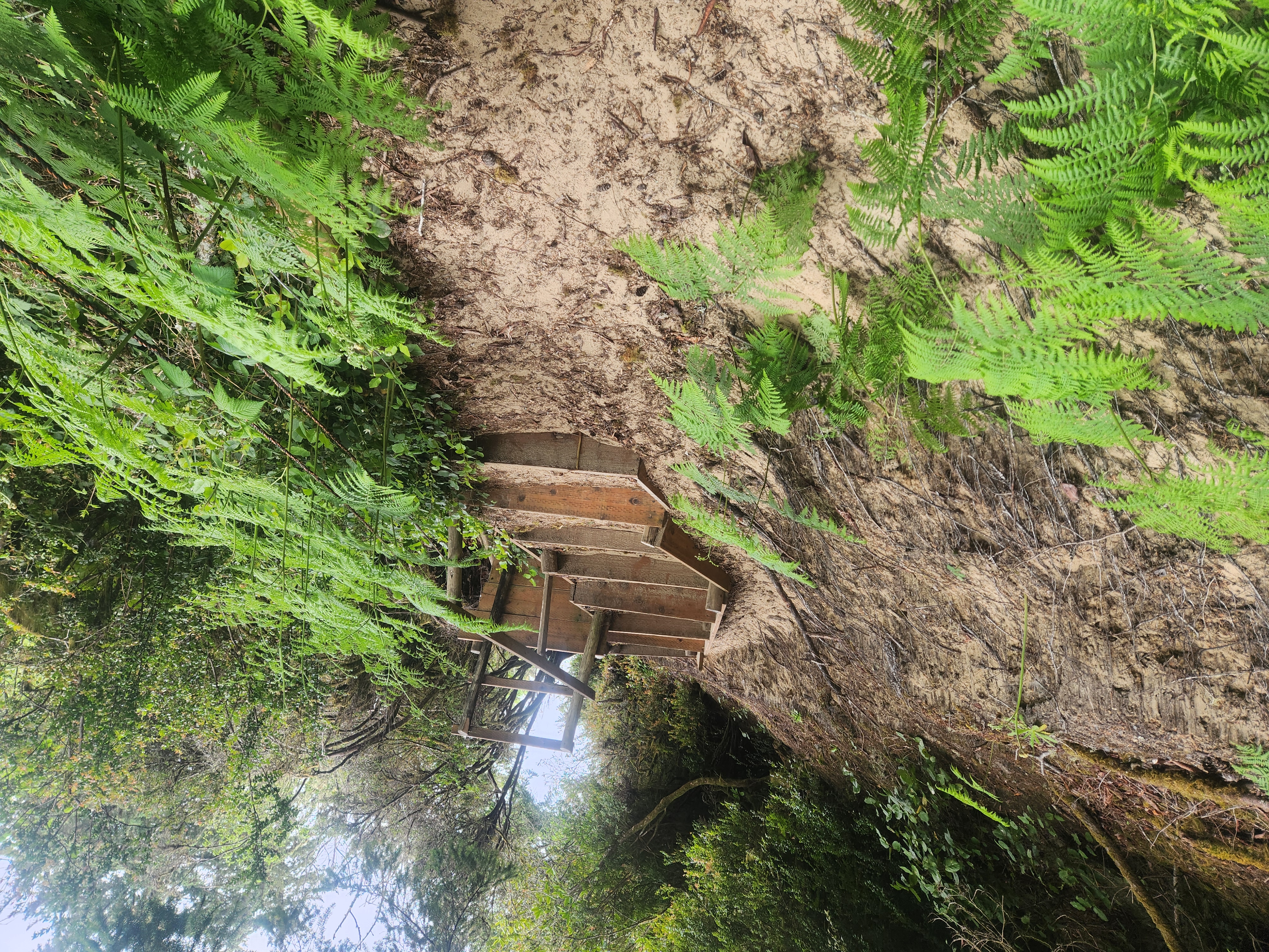 Summer at Siltcoos: Day 12