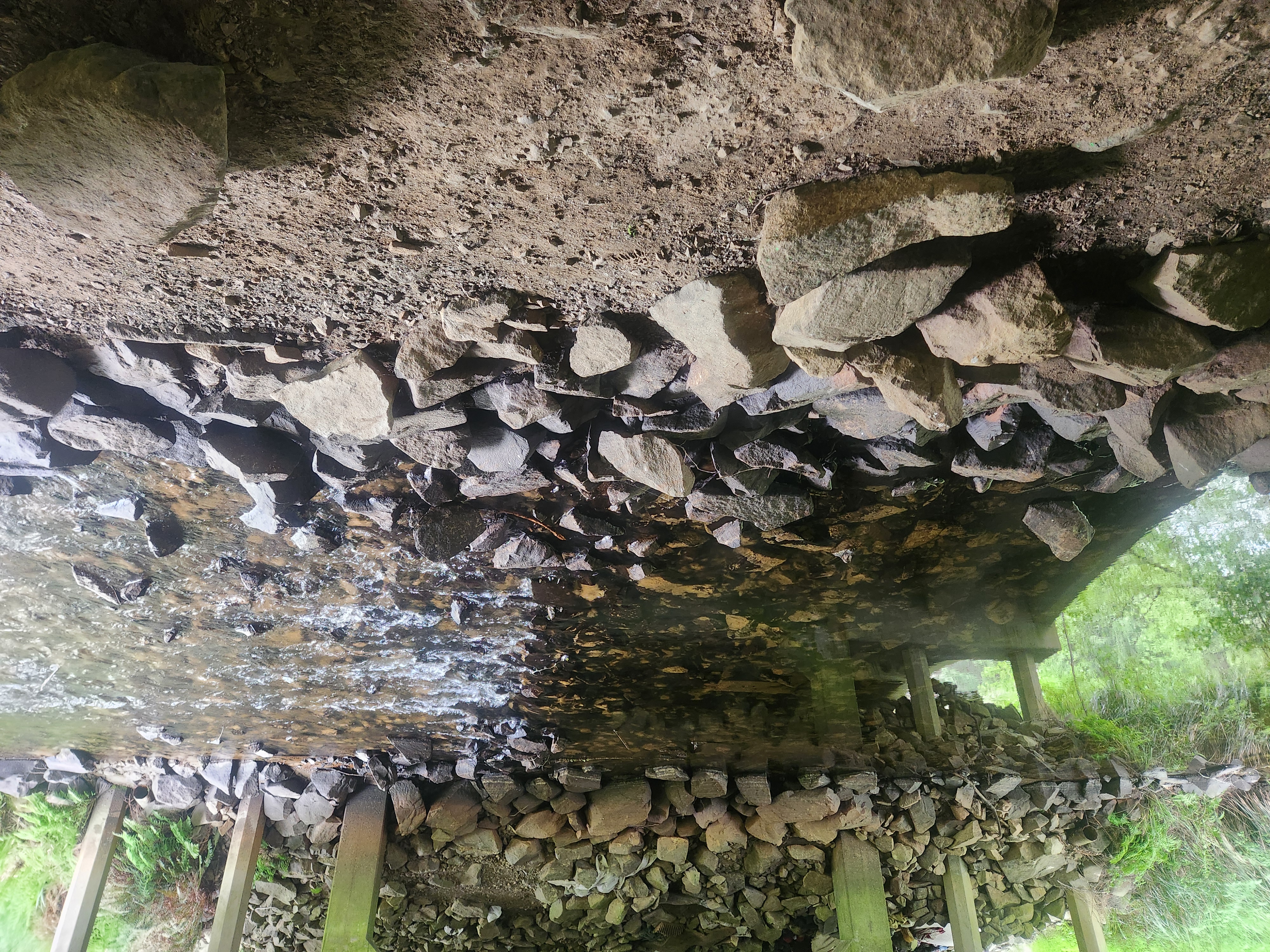 Summer at Siltcoos: Day 12