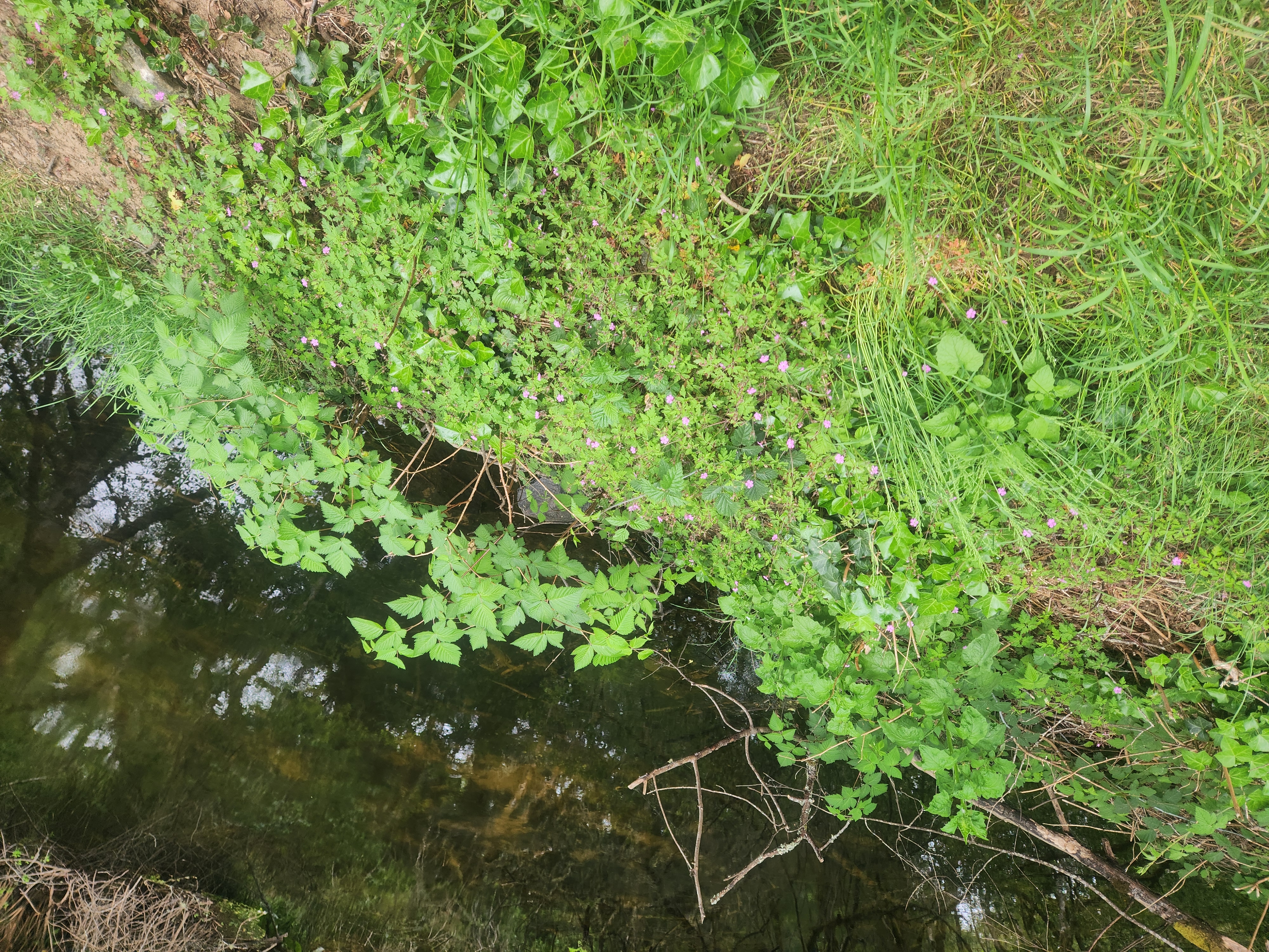 Summer at Siltcoos: Day 12