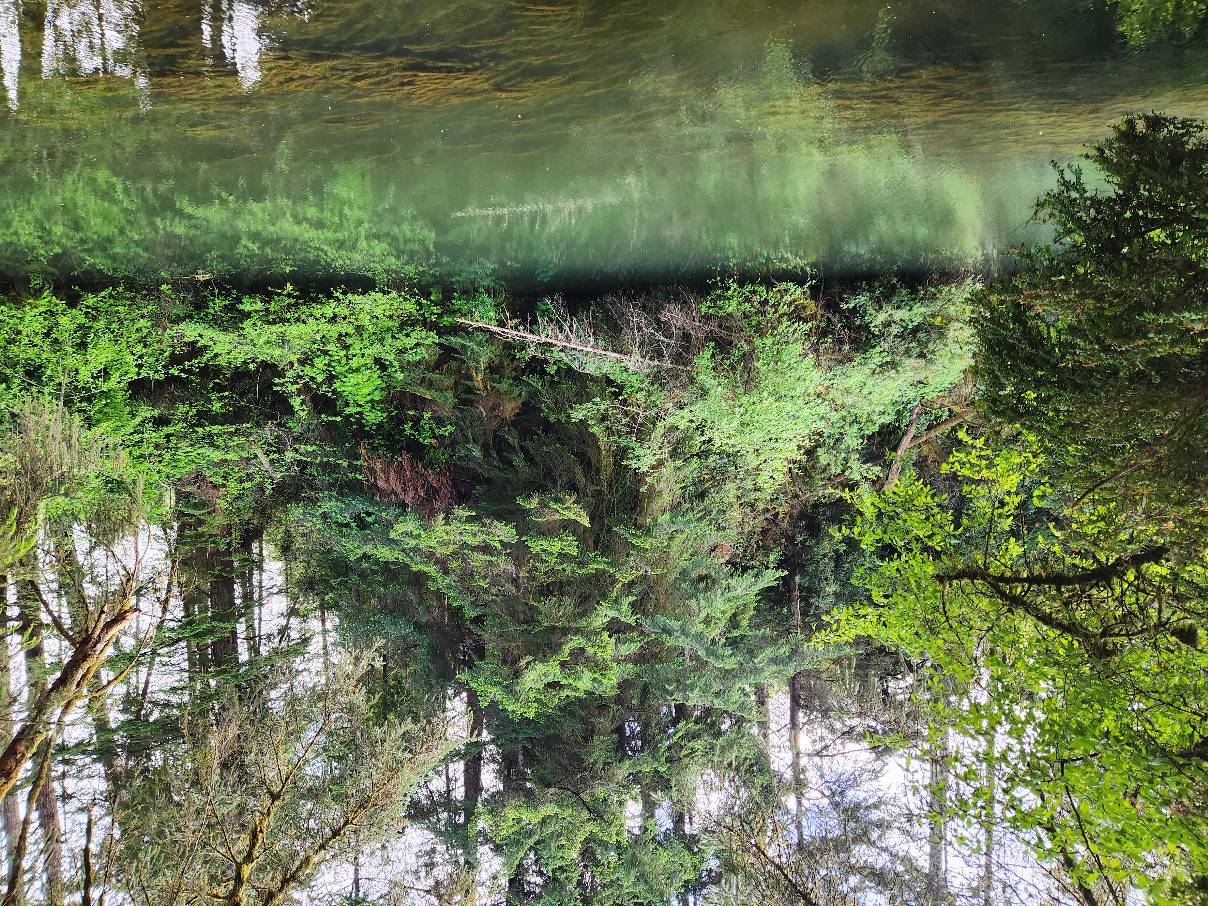 Summer at Siltcoos: Day 13