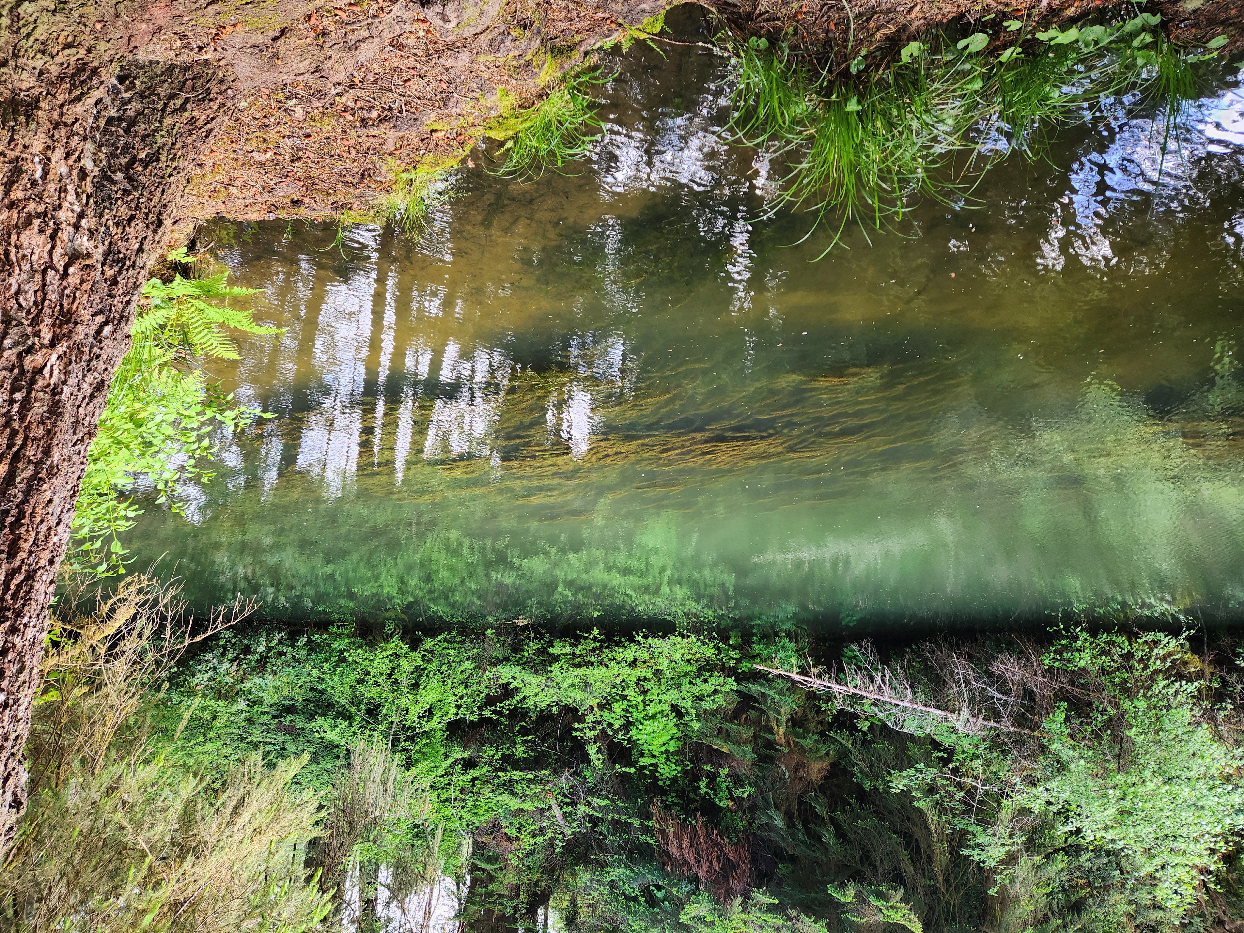 Summer at Siltcoos: Day 13