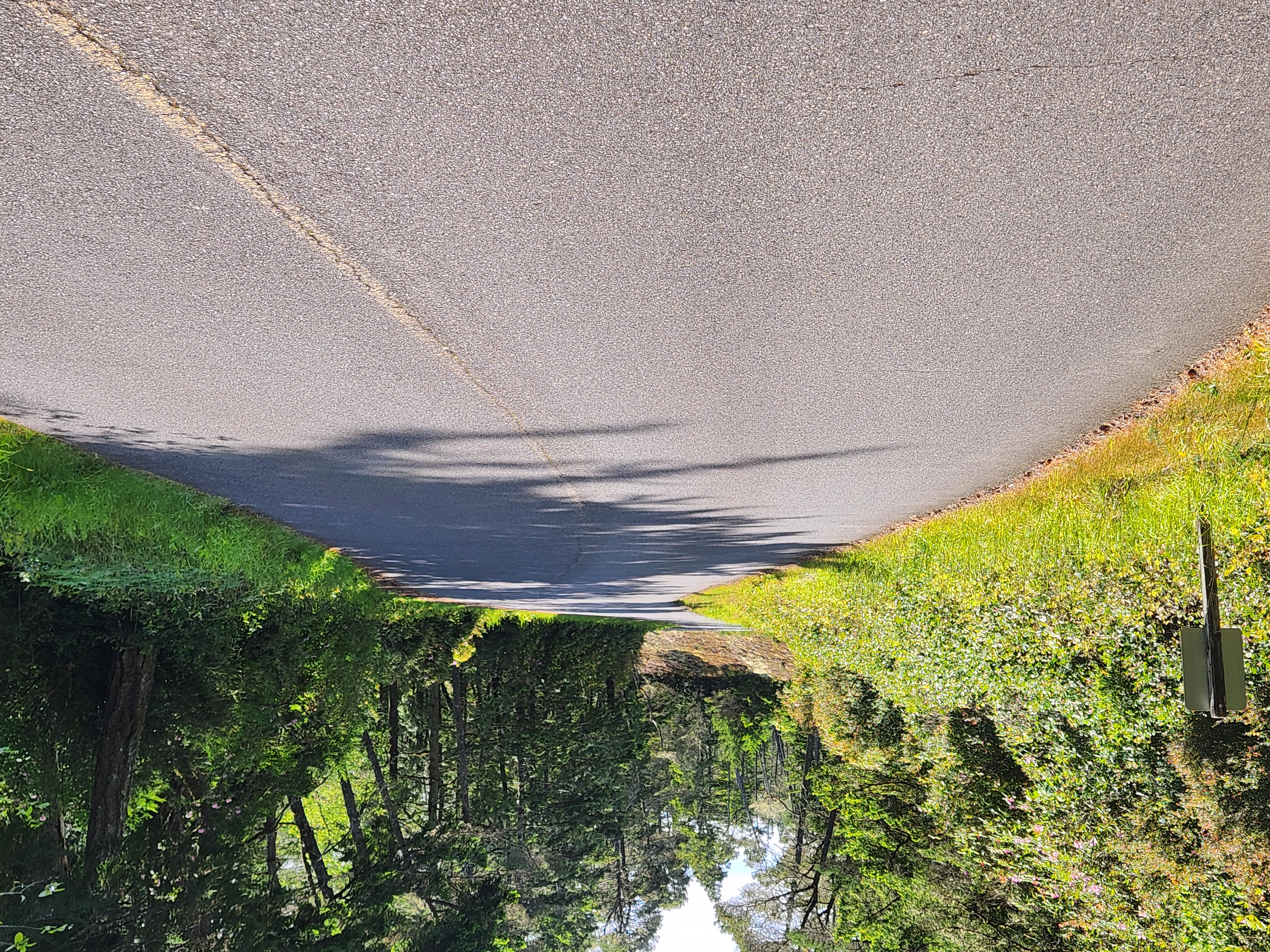 Summer at Siltcoos: Day 15