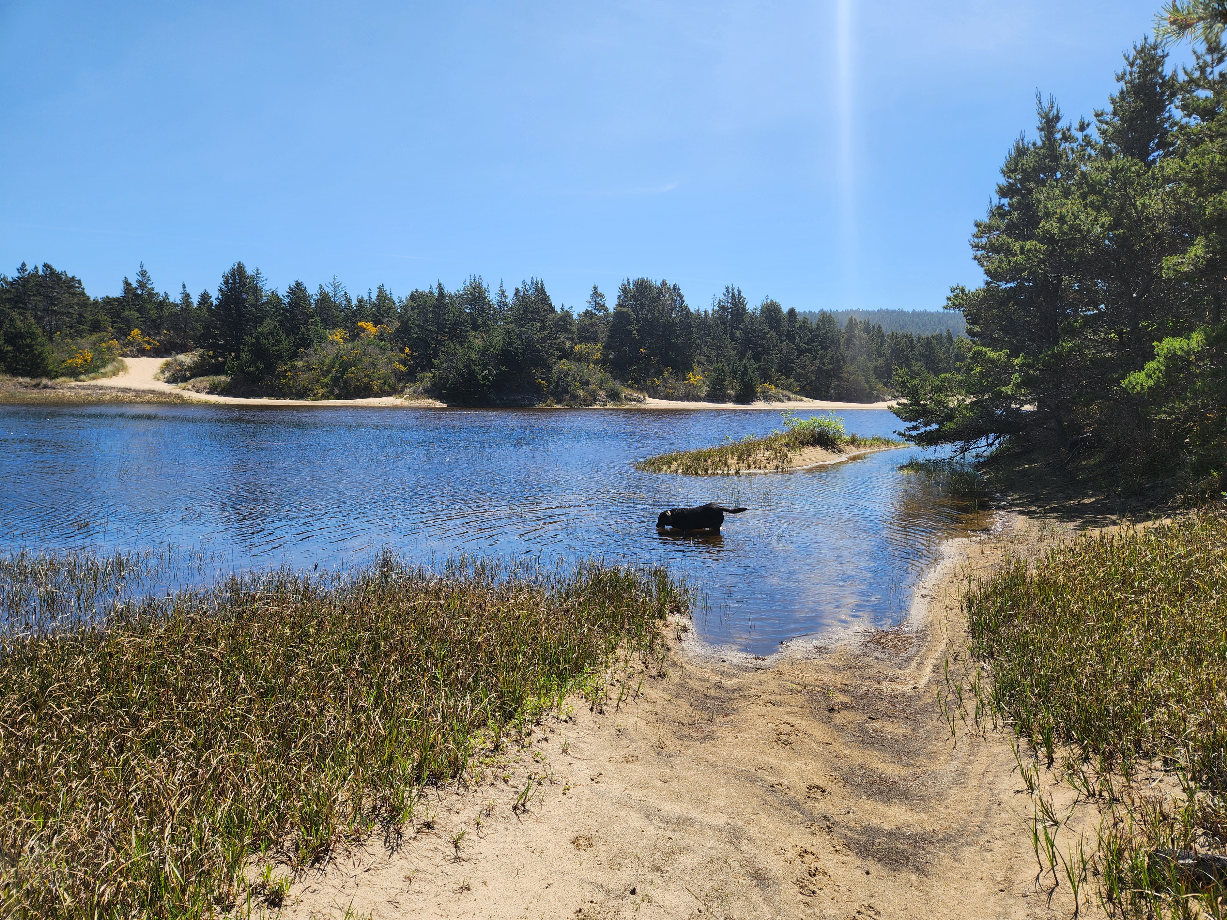 Summer at Siltcoos: Day 19