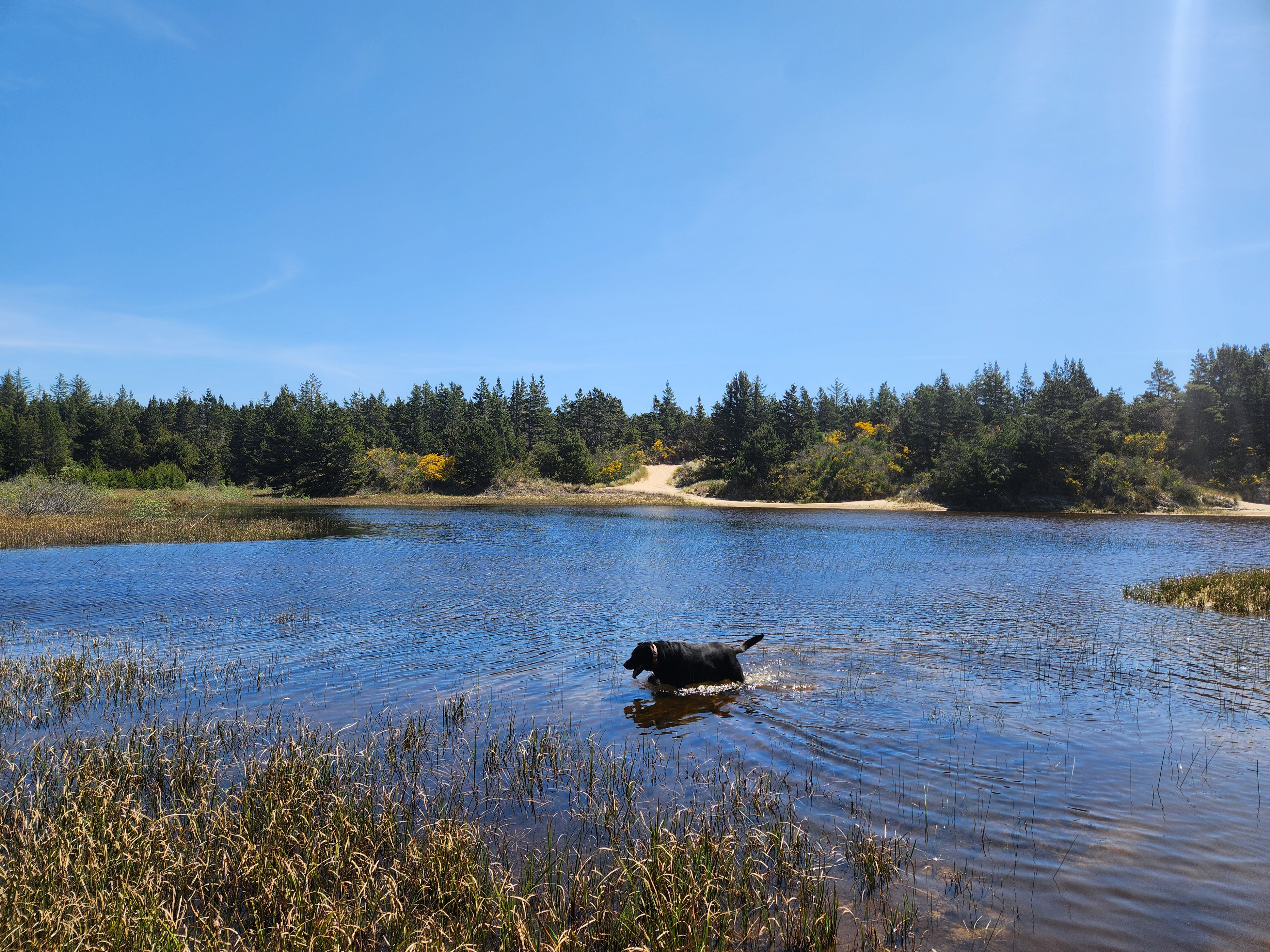 Summer at Siltcoos: Day 19