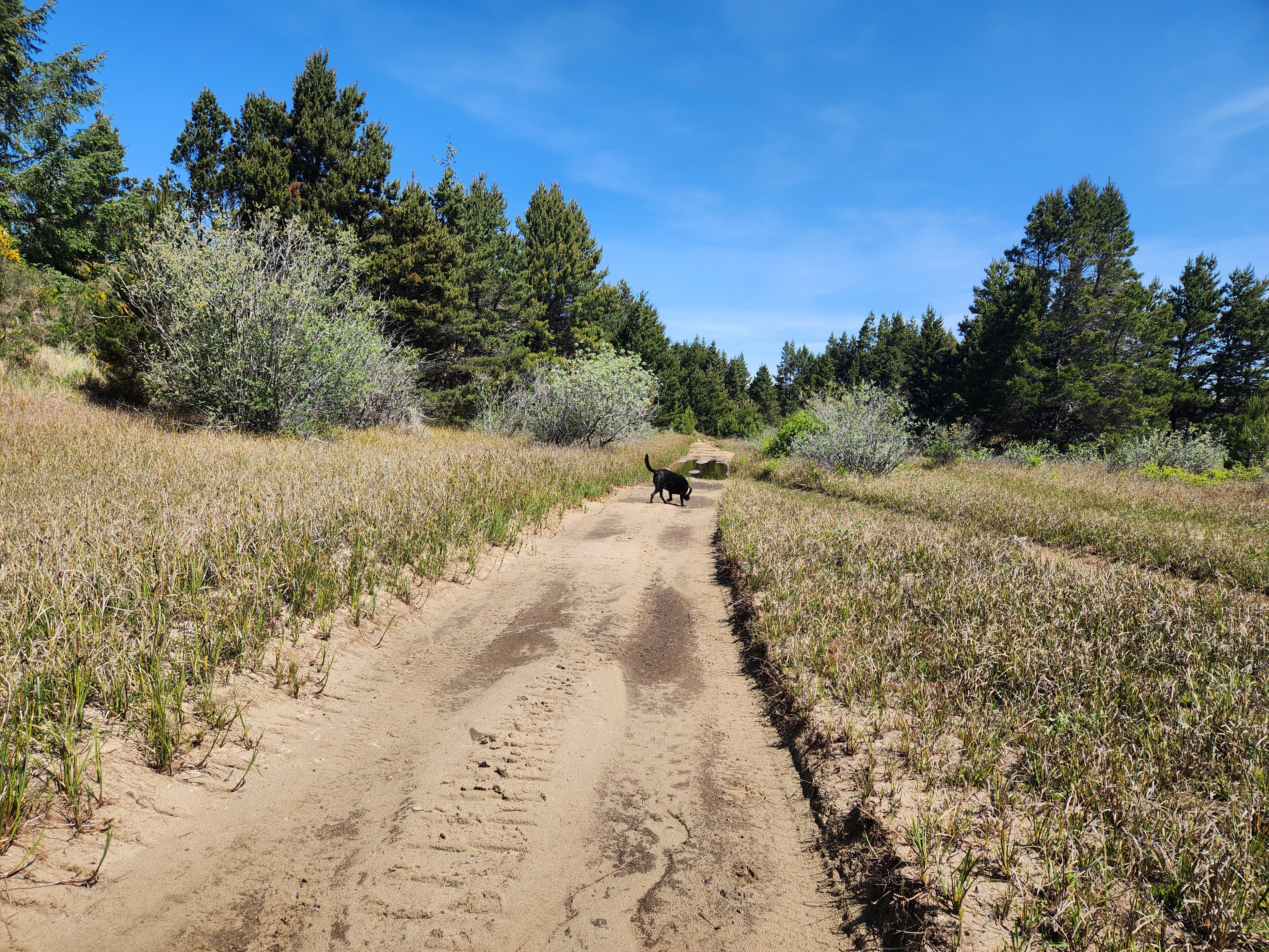 Summer at Siltcoos: Day 19