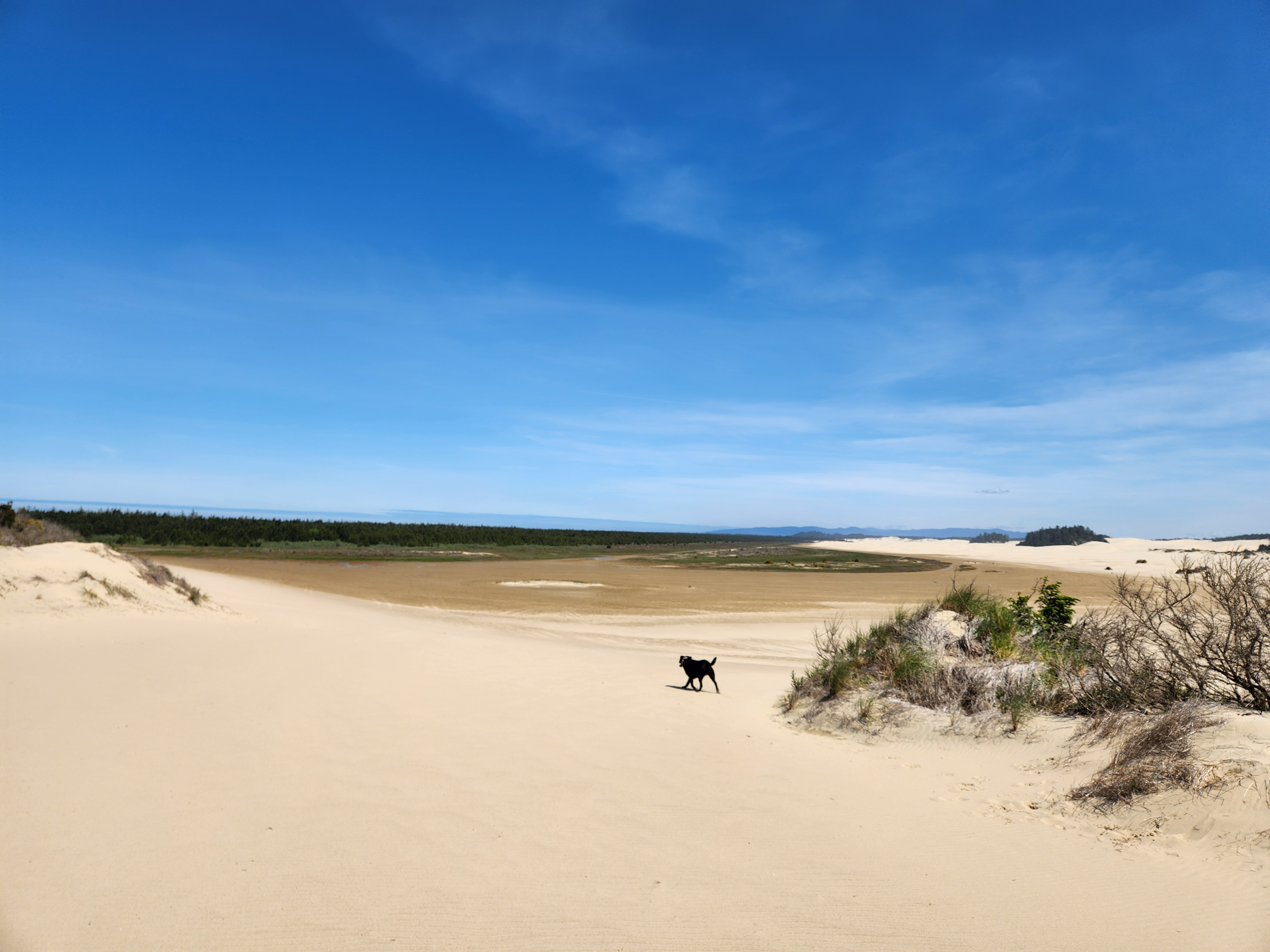Summer at Siltcoos: Day 19