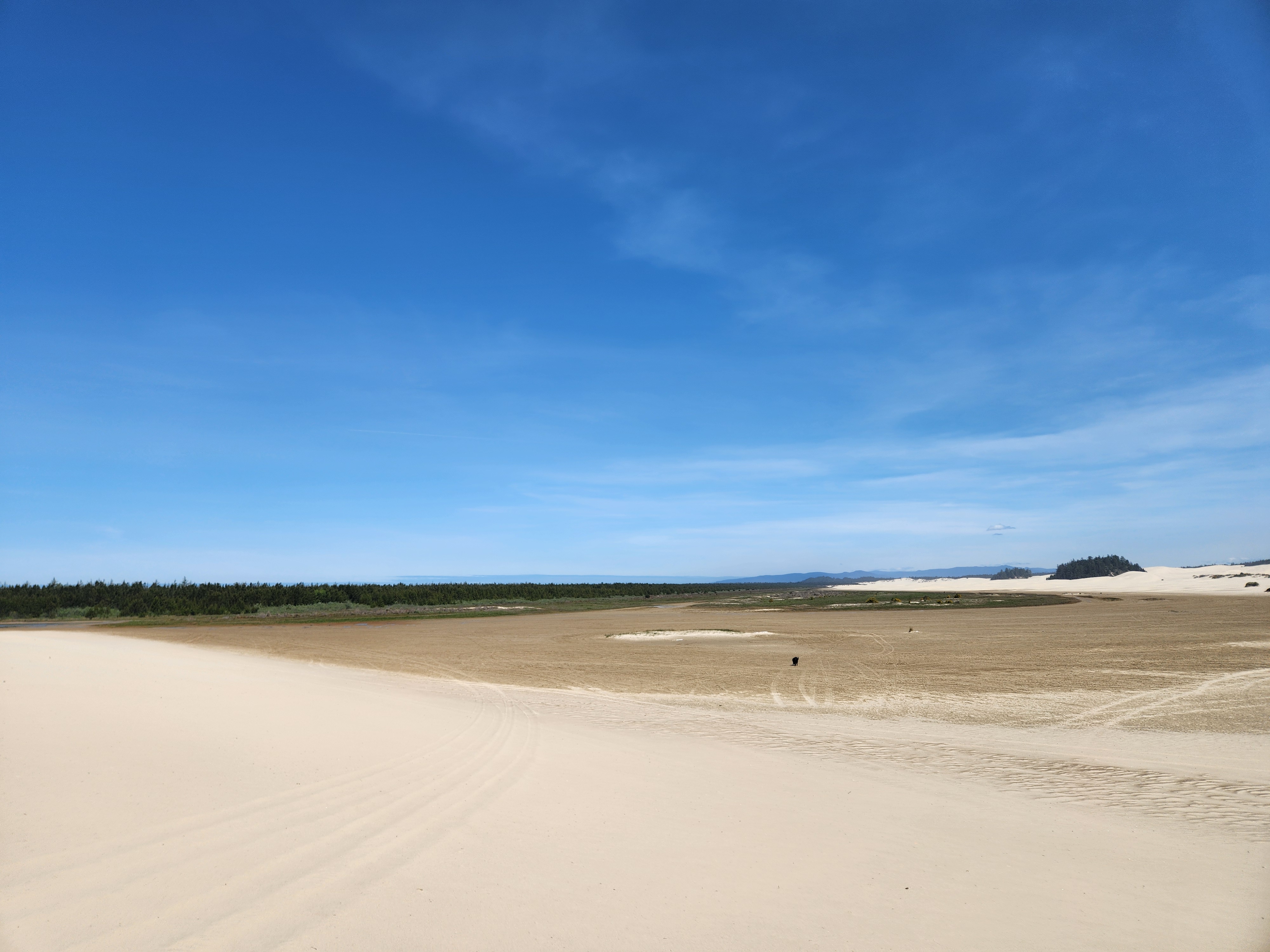 Summer at Siltcoos: Day 19