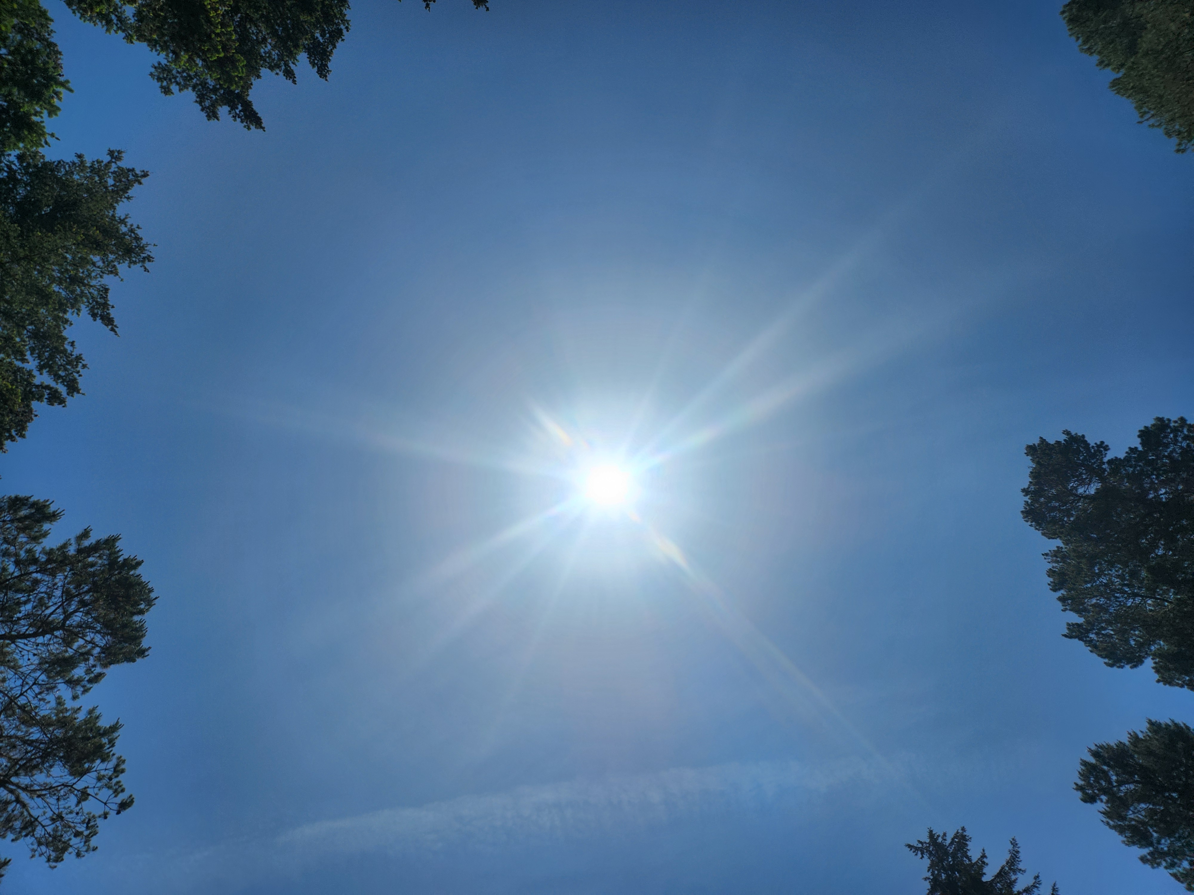 Summer at Siltcoos: Day 19