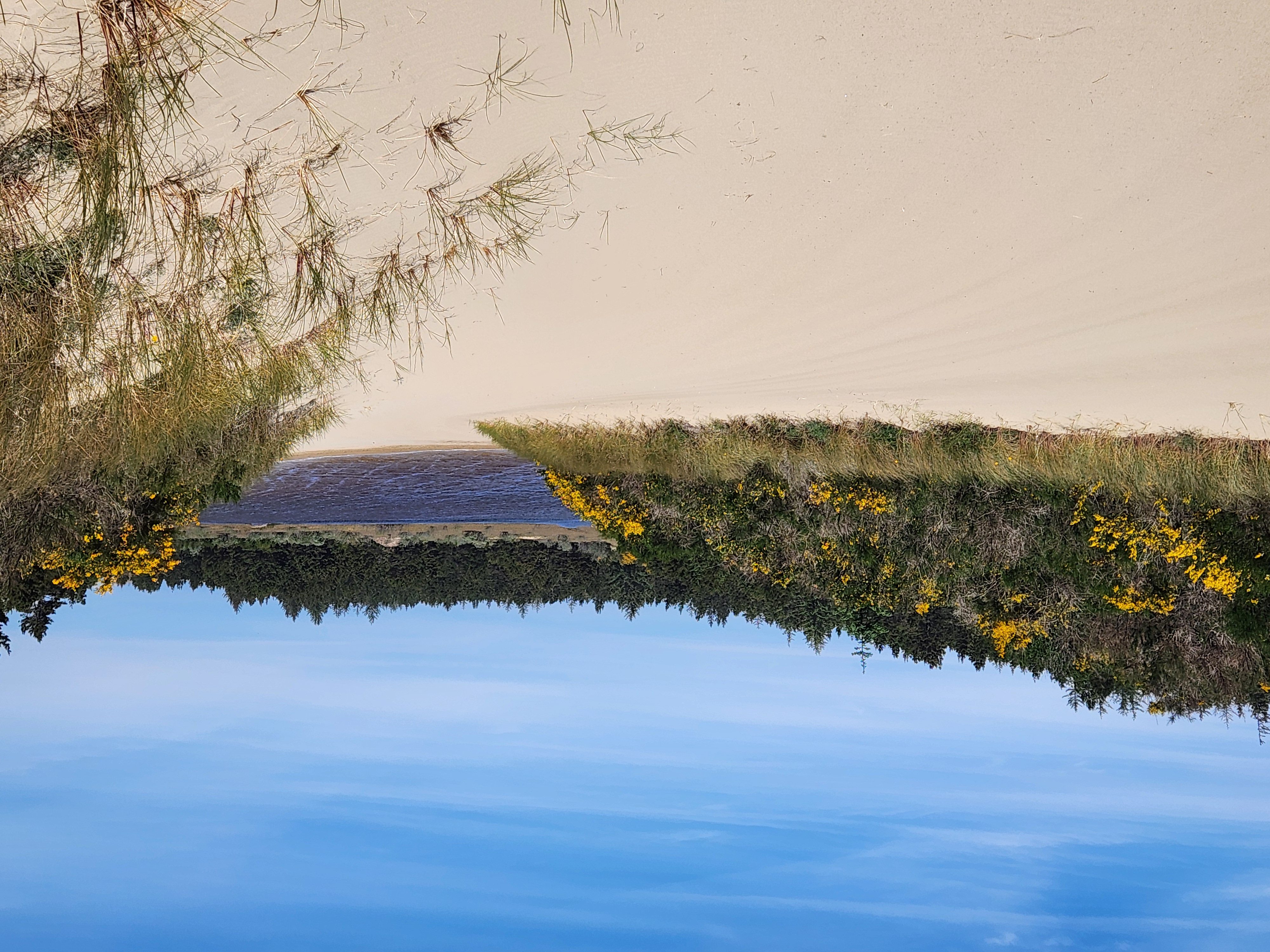 Summer at Siltcoos: Day 20