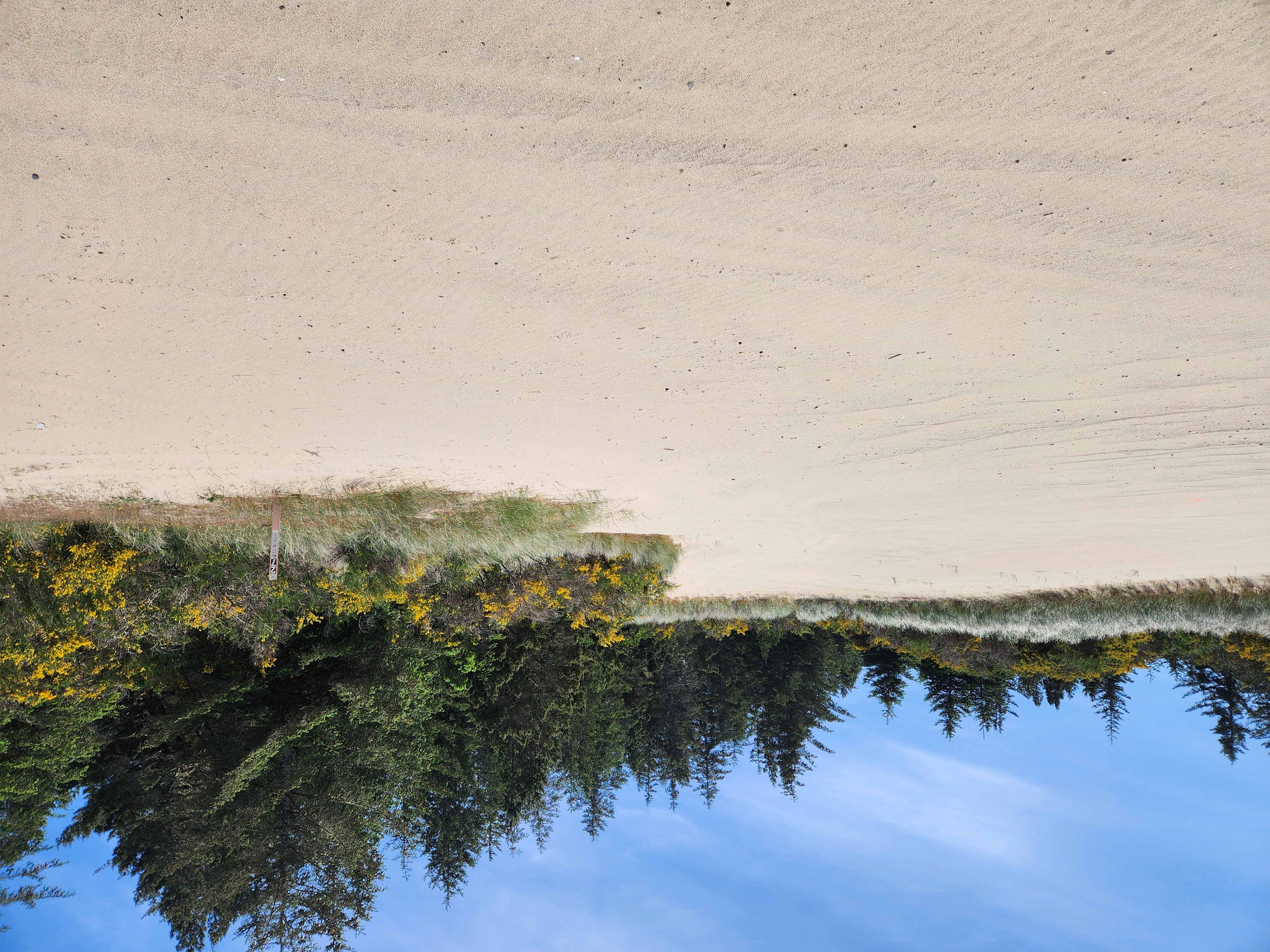 Summer at Siltcoos: Day 20