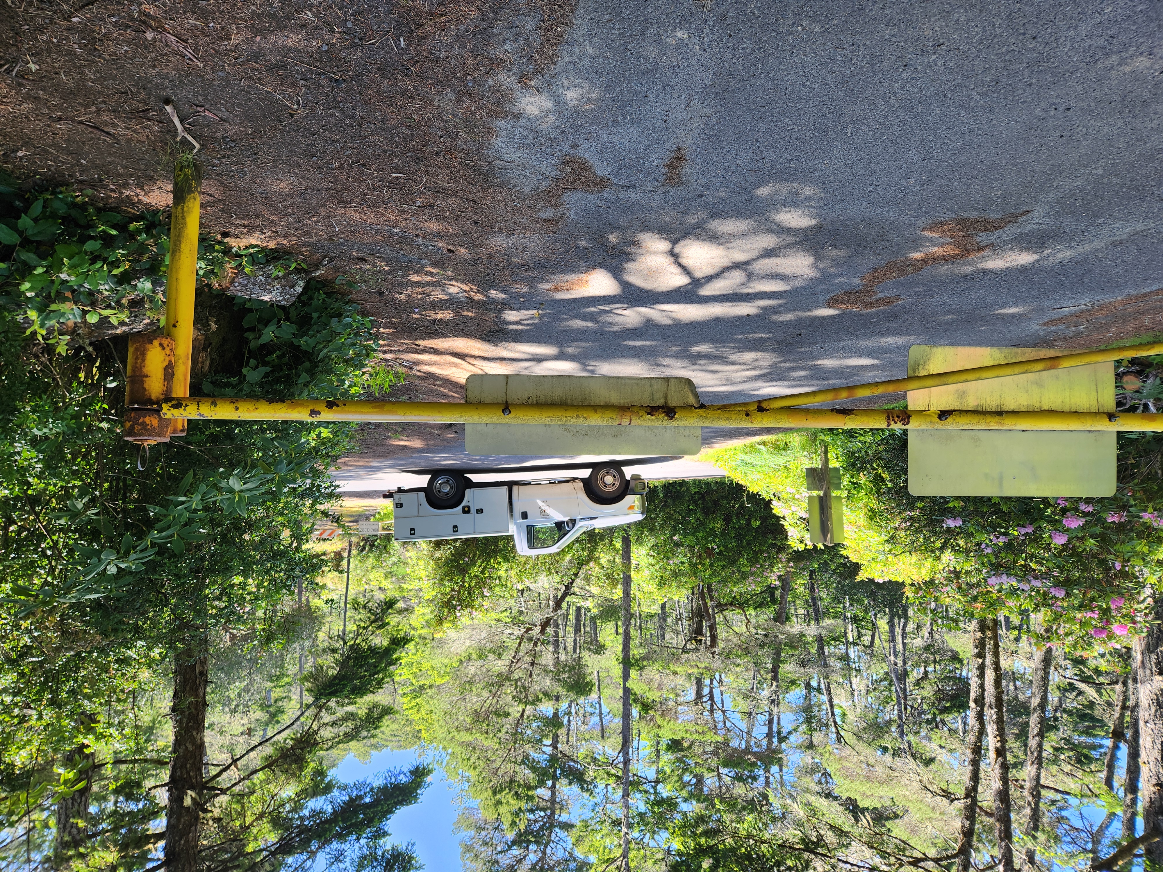 Summer at Siltcoos: Day 20