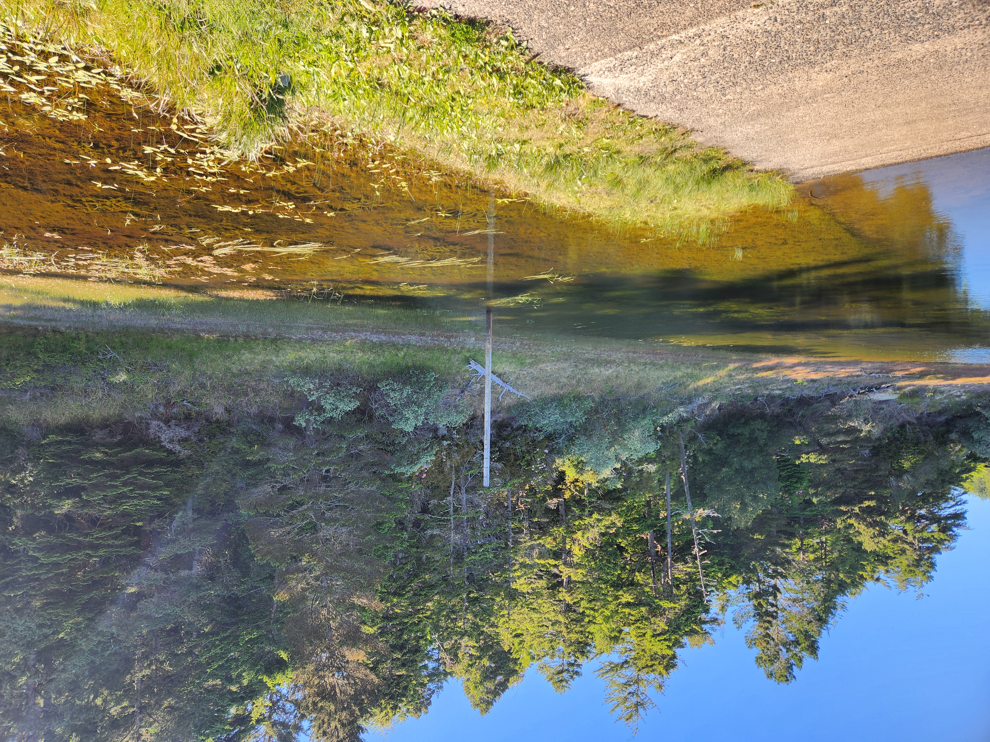 Summer at Siltcoos: Day 21
